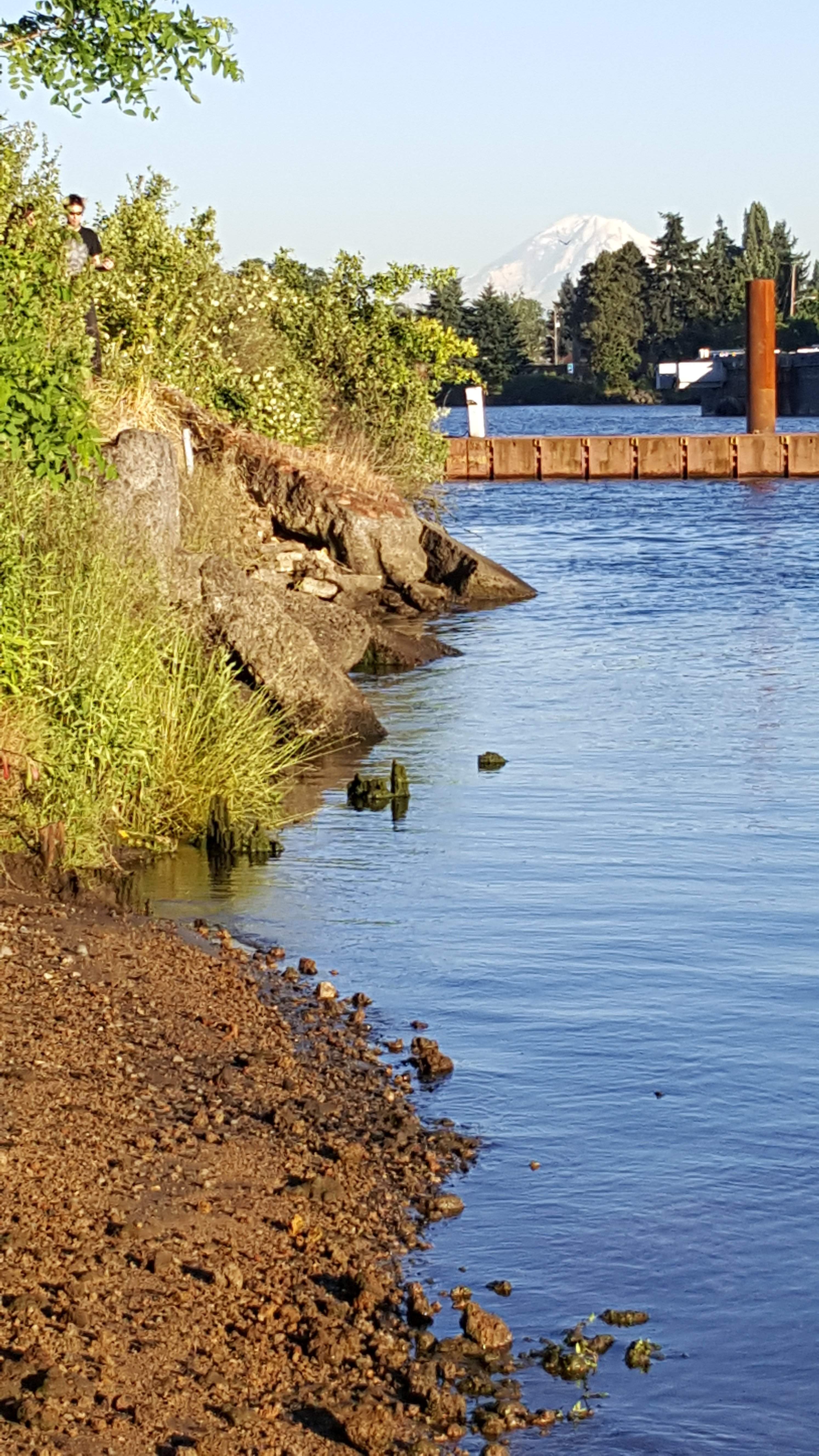 20170623_194929.jpg