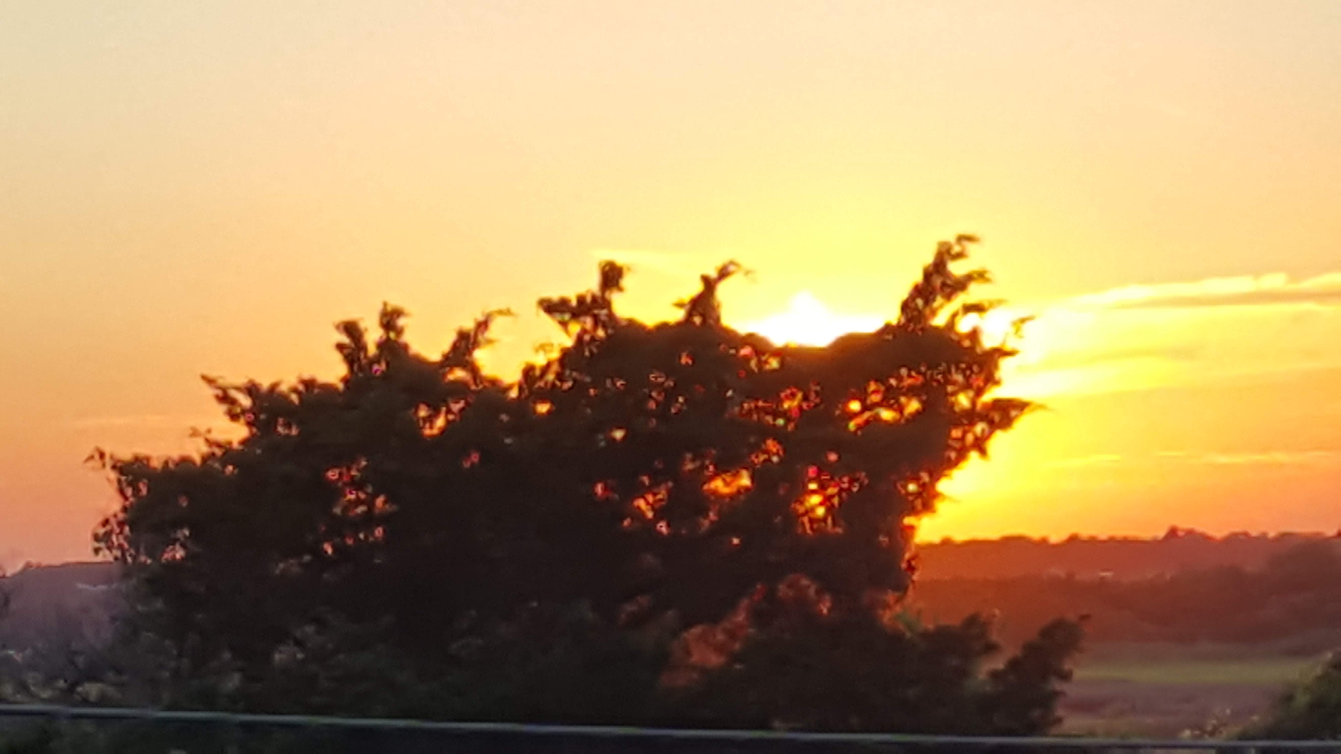 20170626_201731.jpg