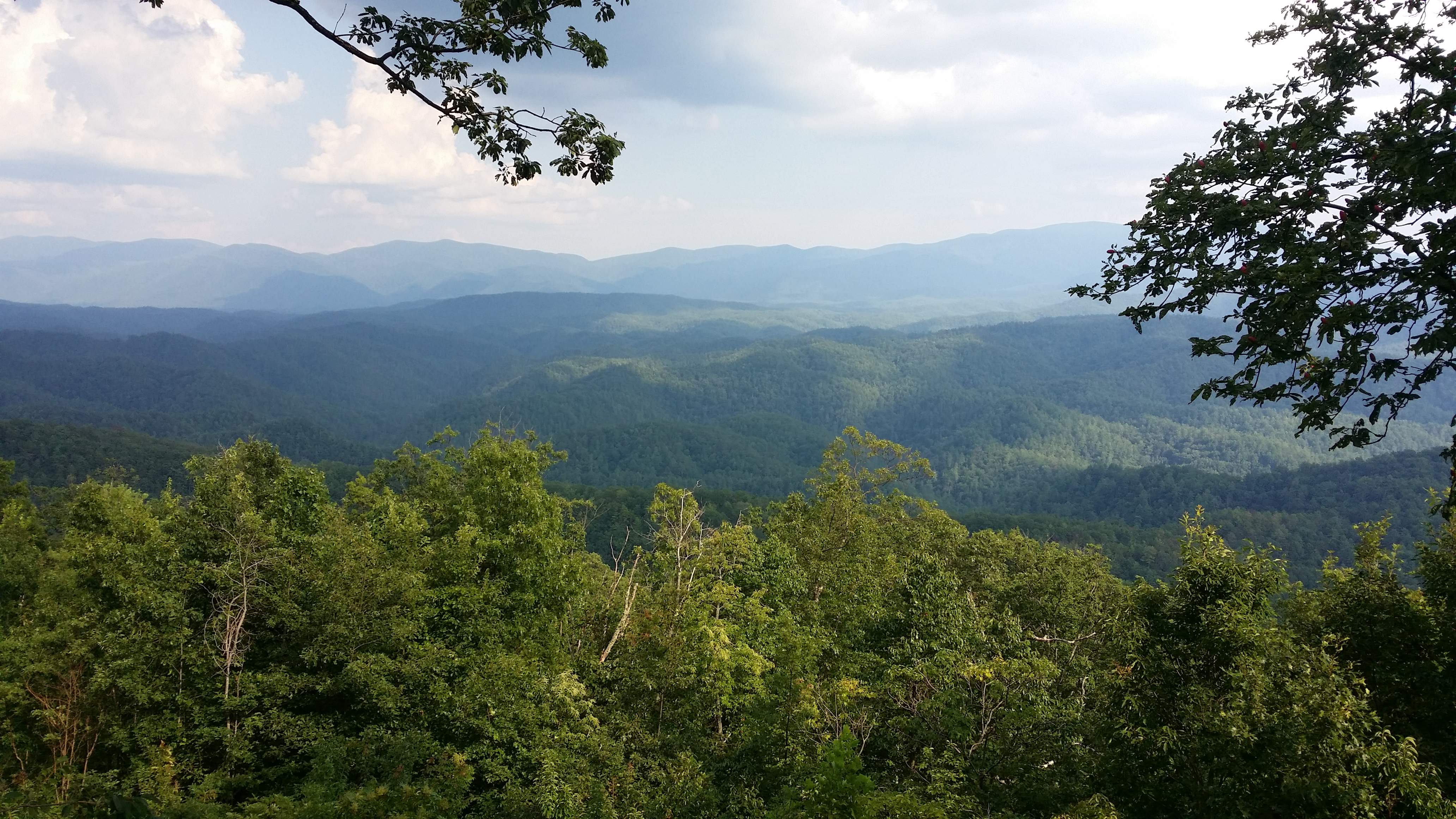 20170725_173633.jpg