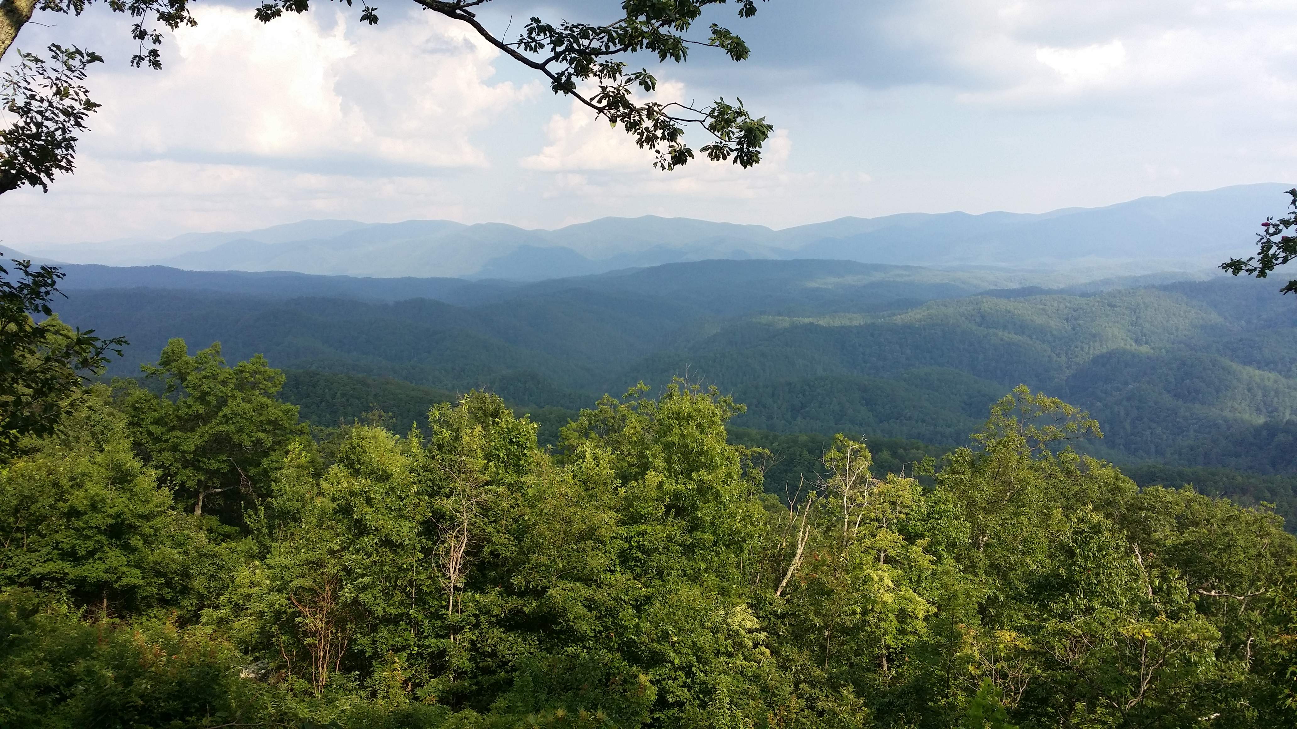 20170725_173708.jpg