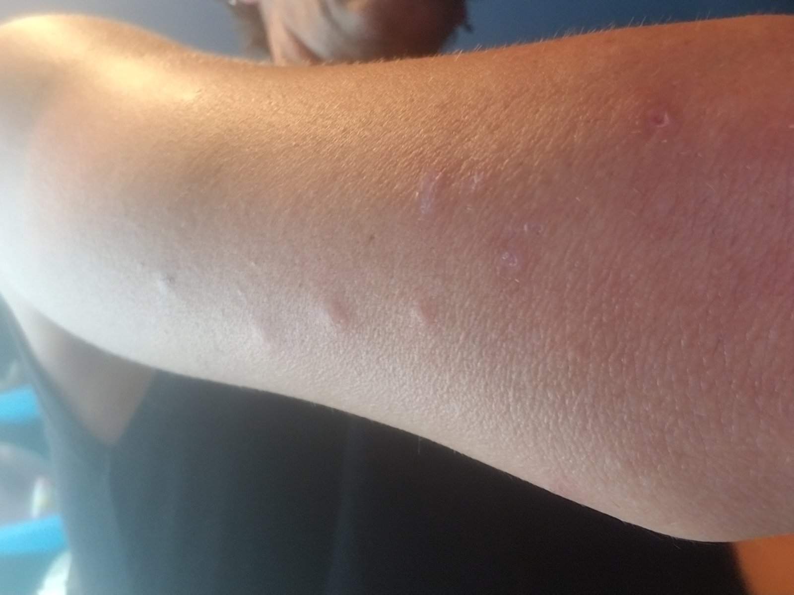 20170811_103817.jpg