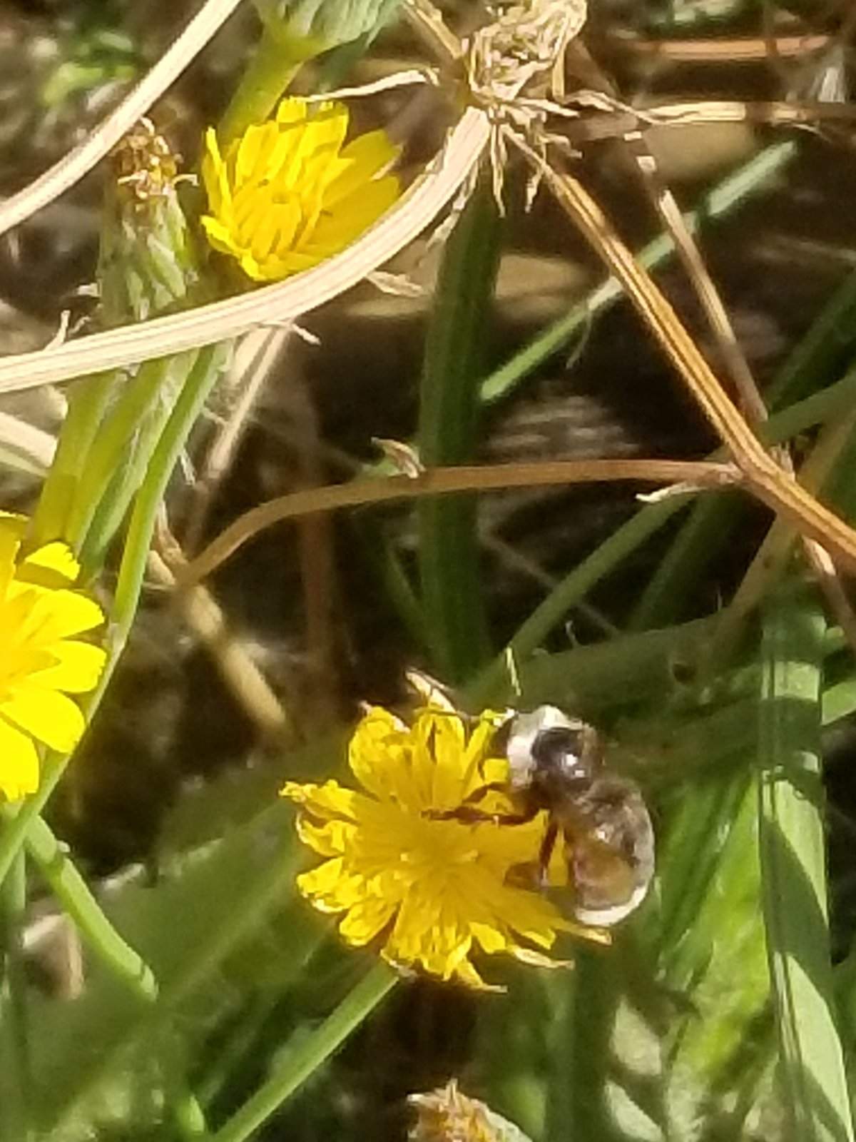 20170816_095234.jpg