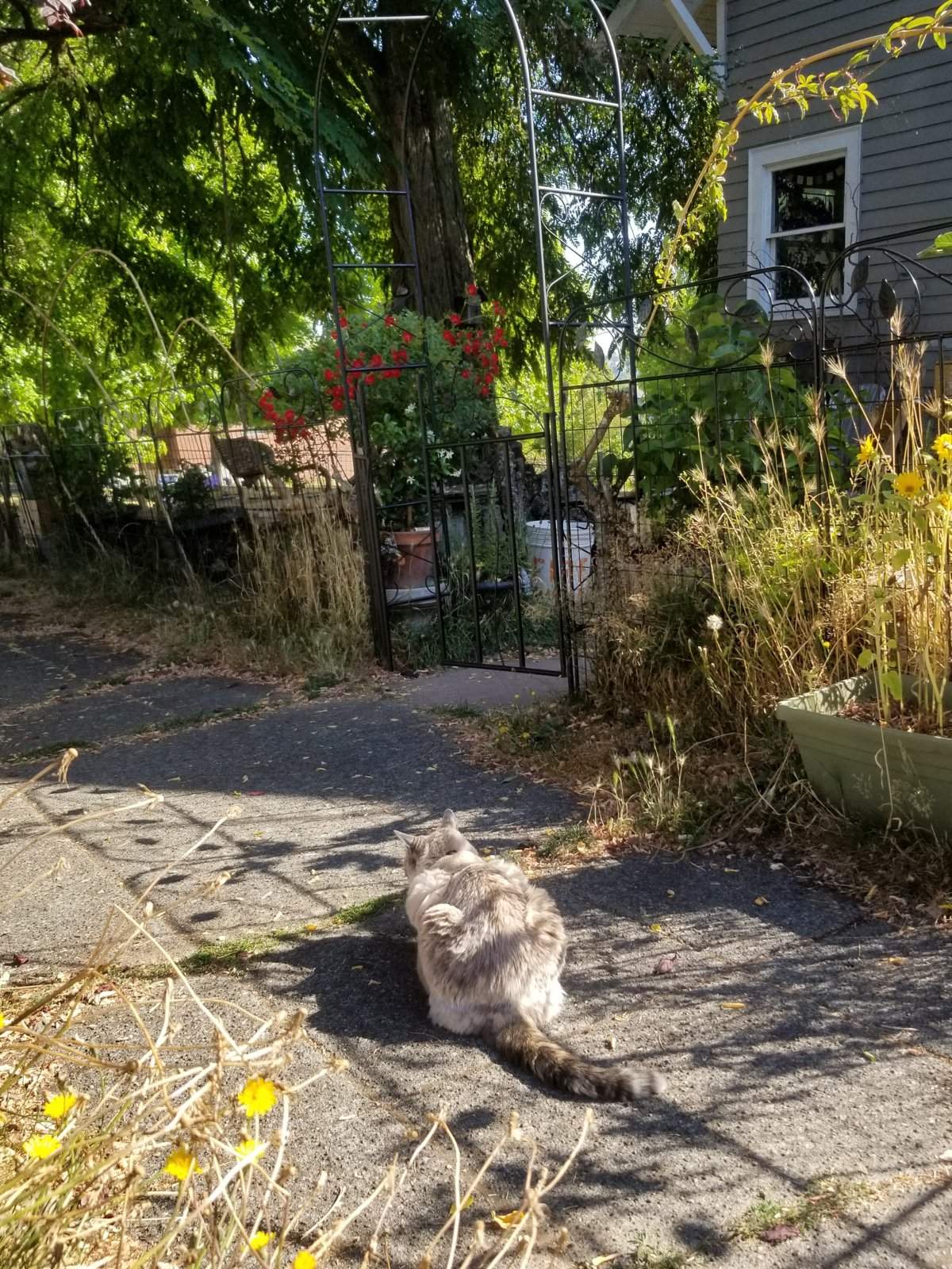 20170816_100655.jpg