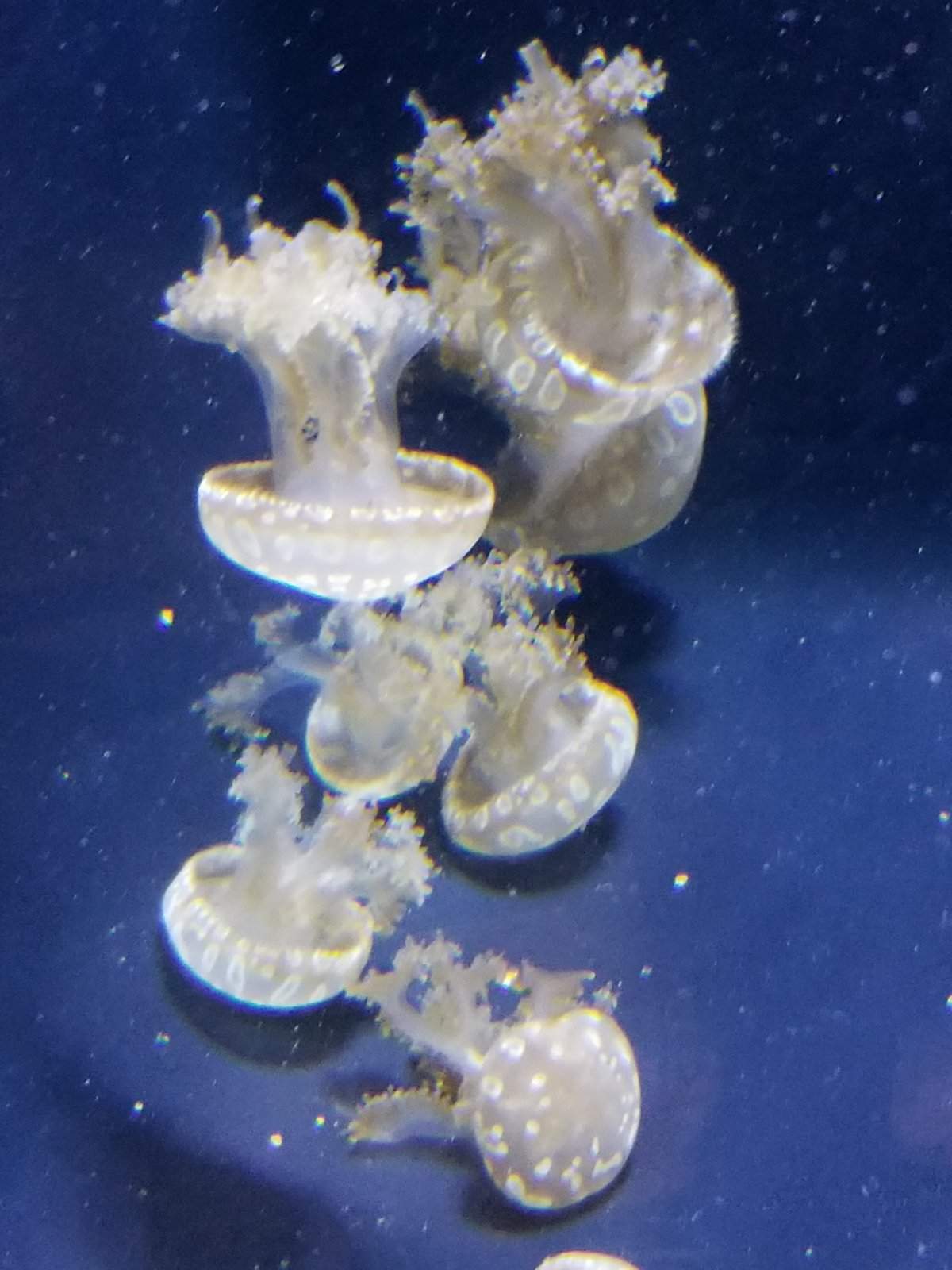 20170825_141958.jpg
