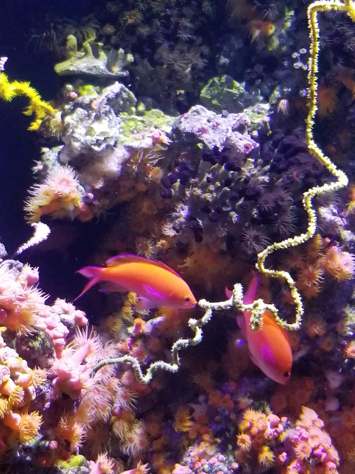 20170825_143206.jpg