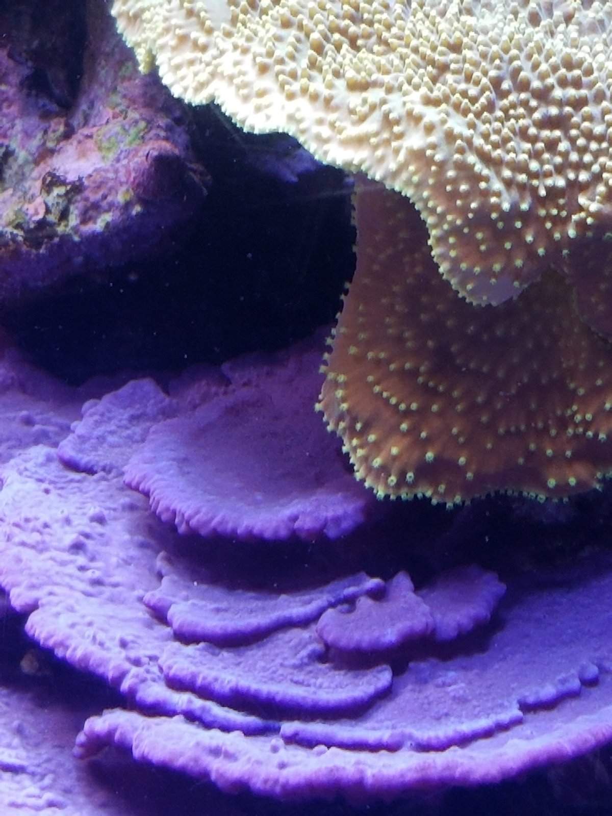 20170825_143454.jpg