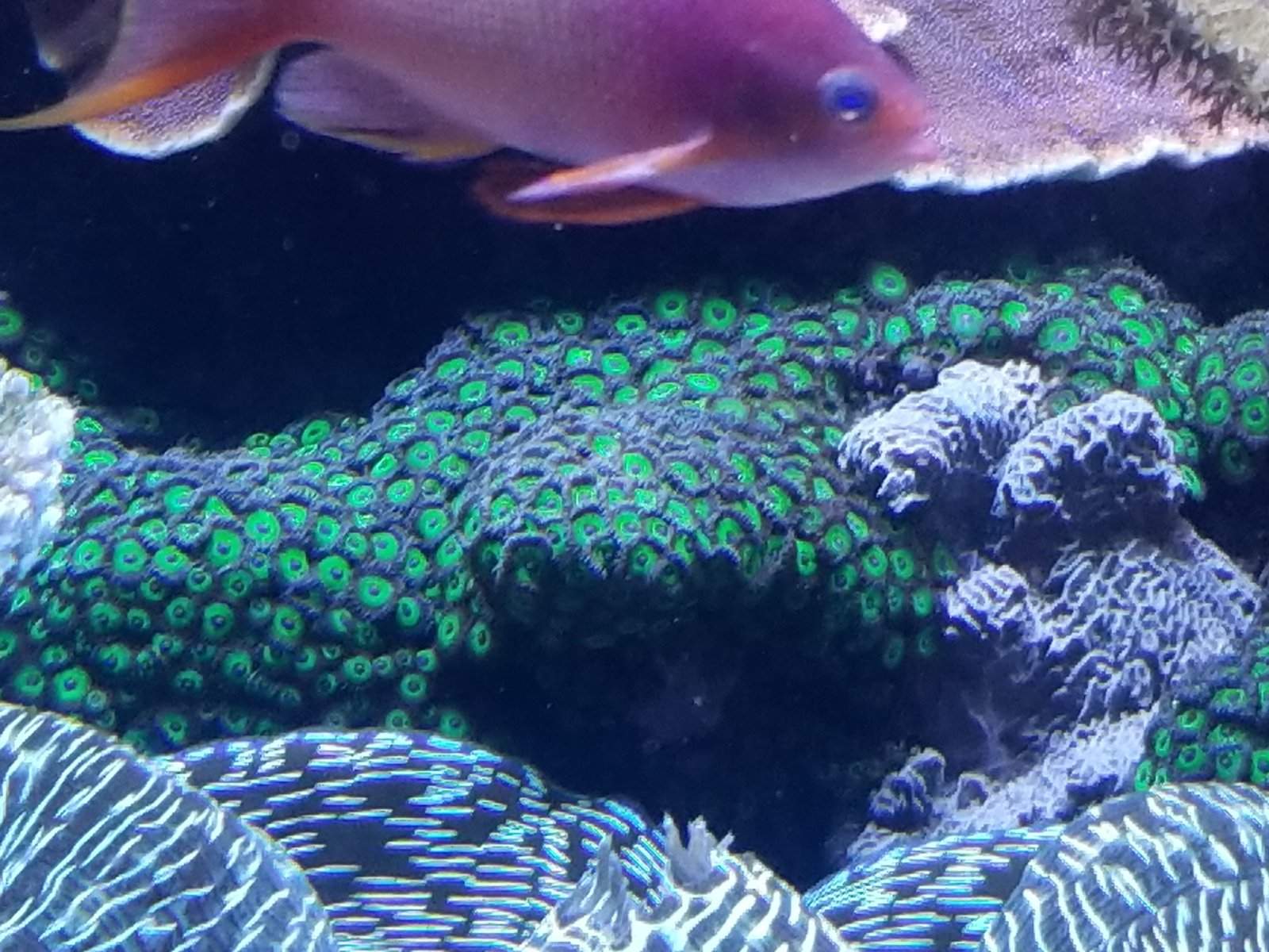 20170825_144109.jpg