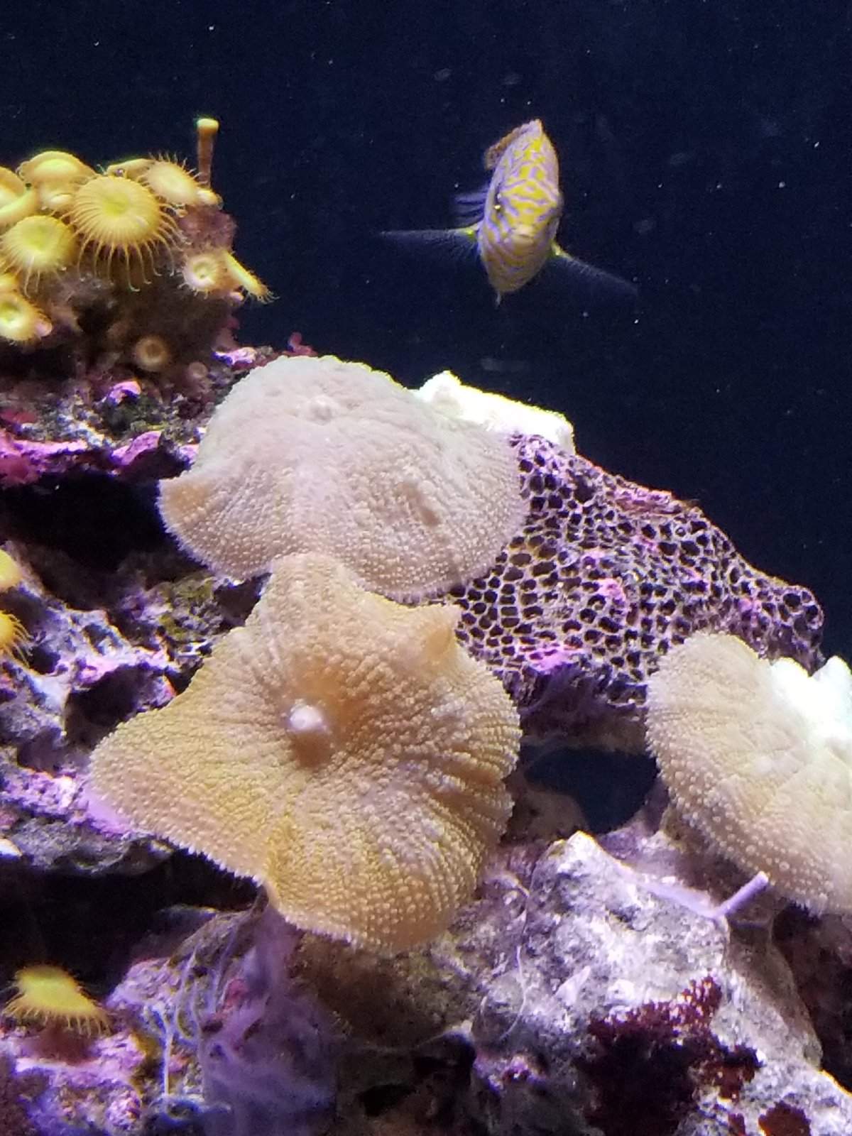 20170825_144355.jpg