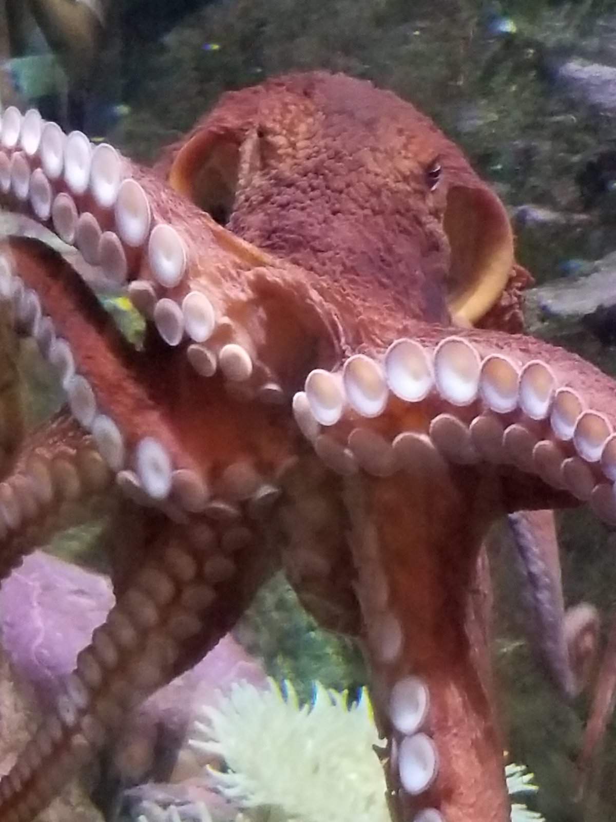 20170825_150335.jpg
