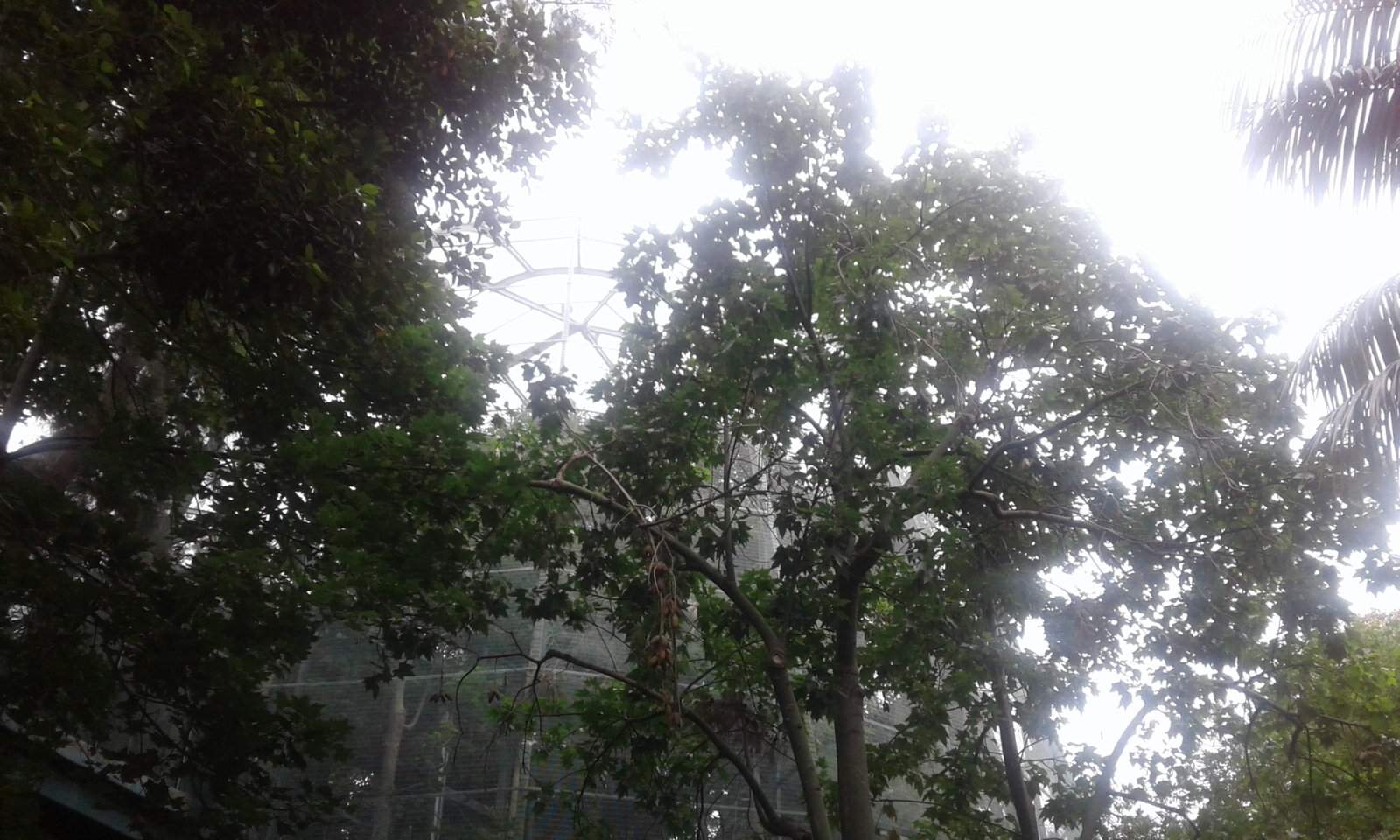 20170904_121134.jpg