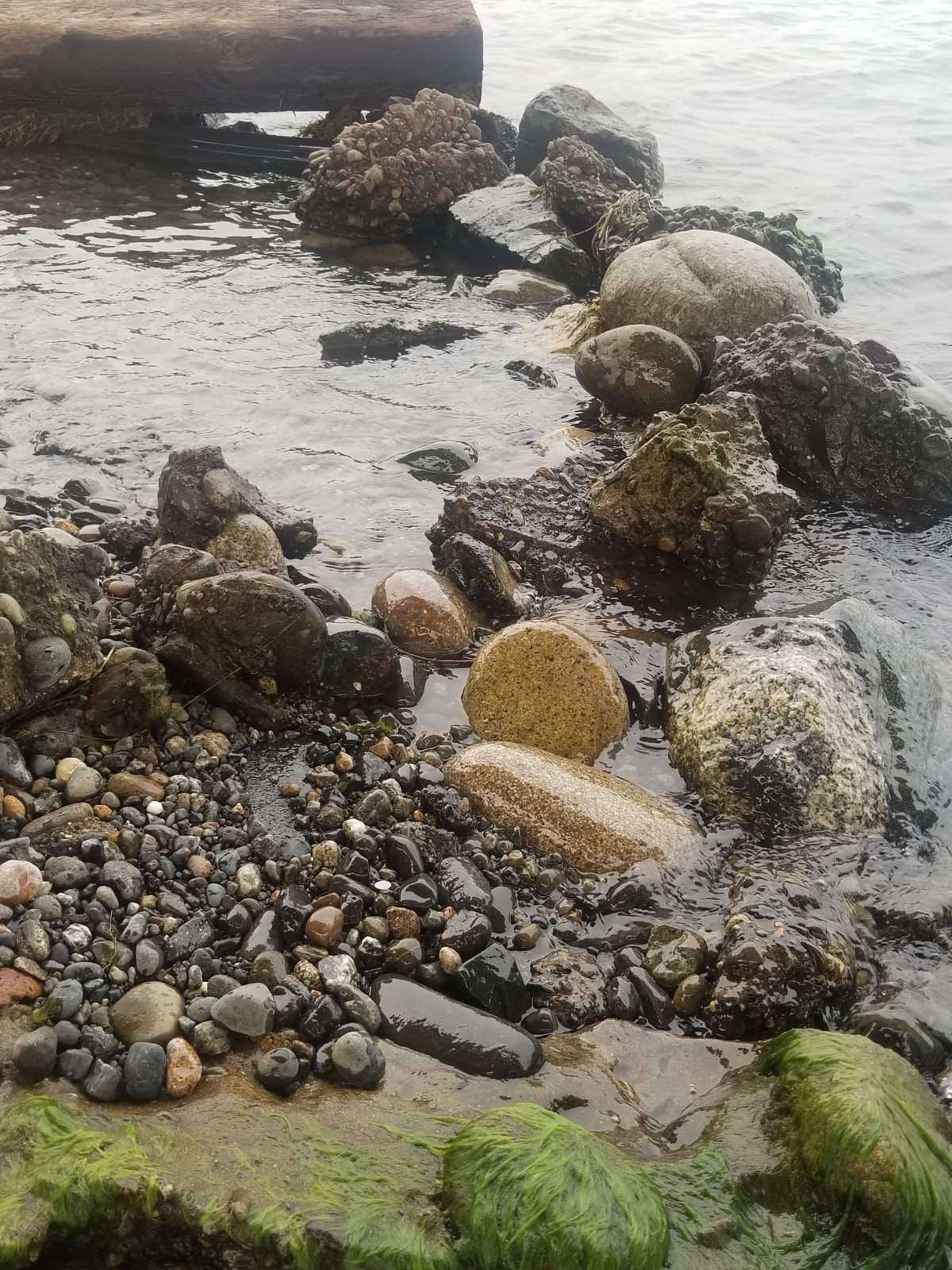 20170906_162337.jpg