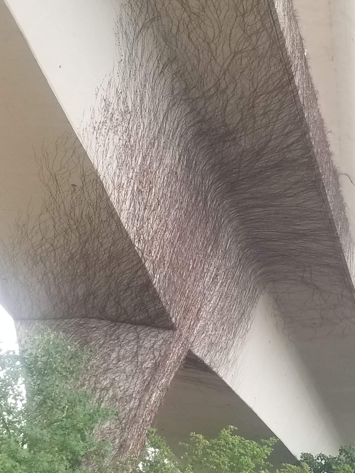20170906_162623.jpg