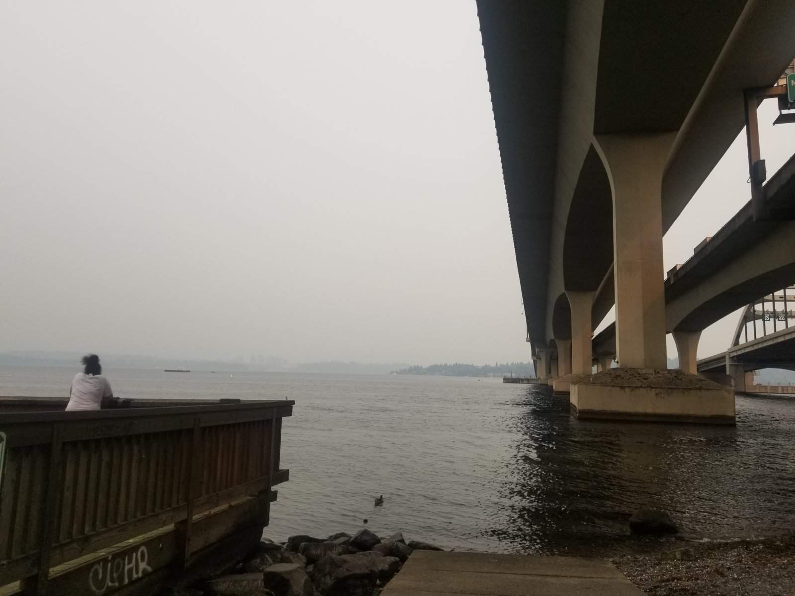 20170906_162821.jpg