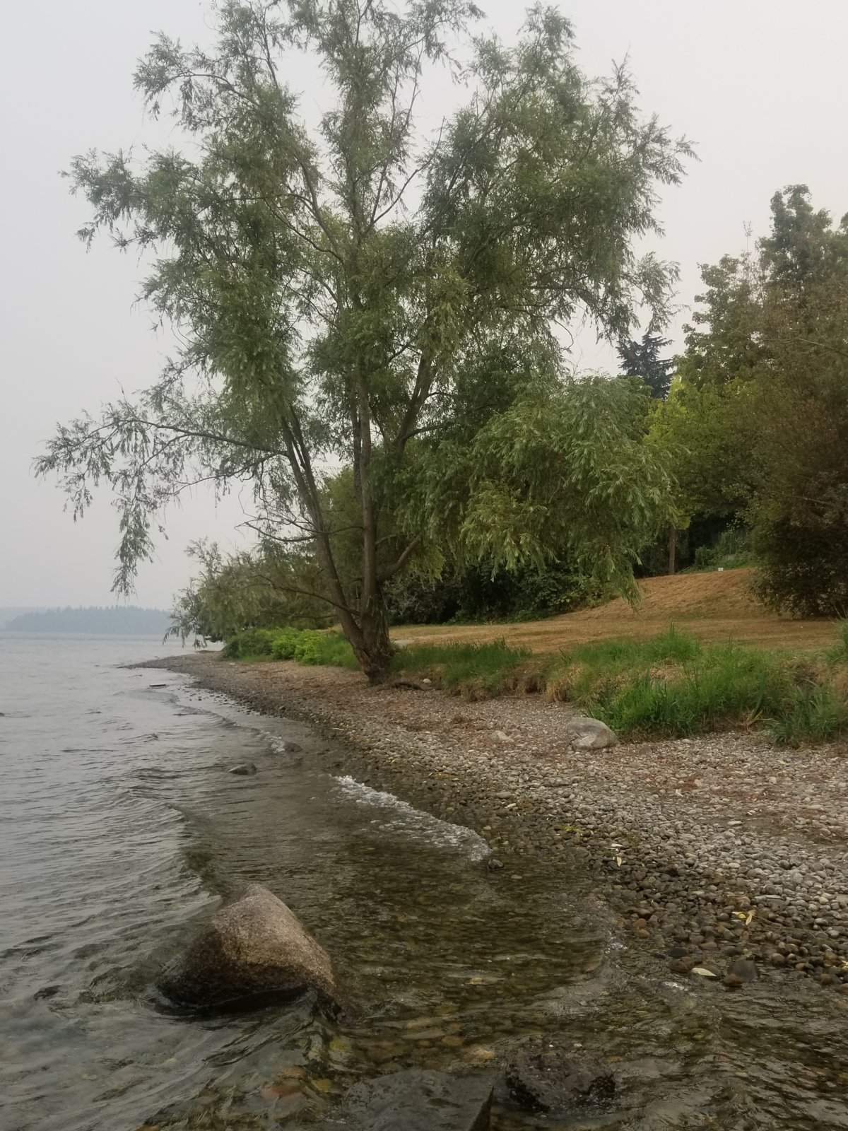 20170906_164521.jpg
