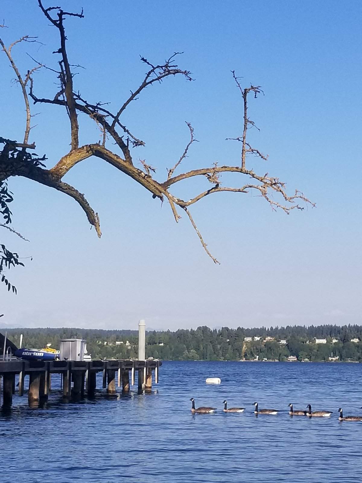 20170914_173326.jpg