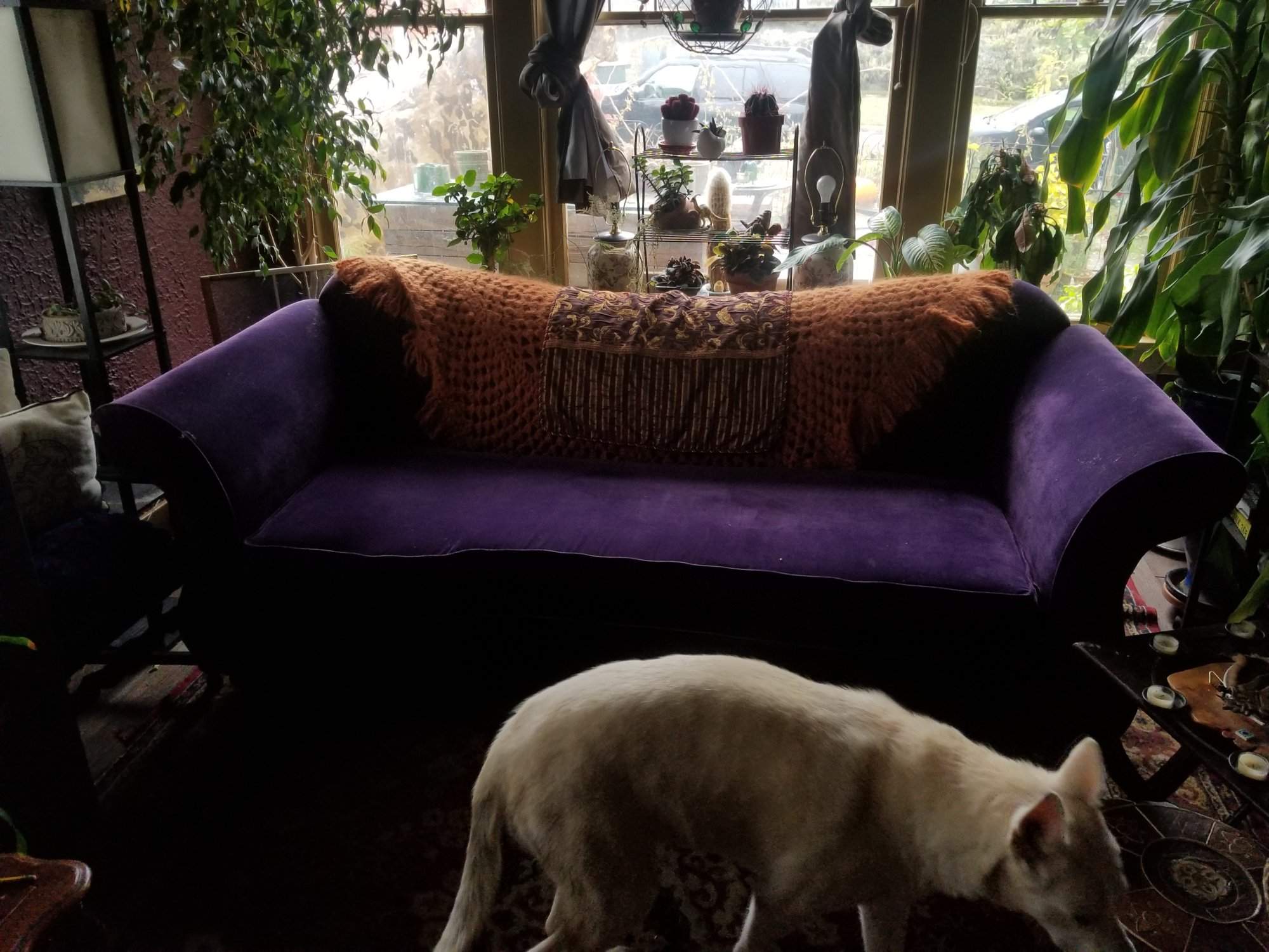 20171026_120541.jpg