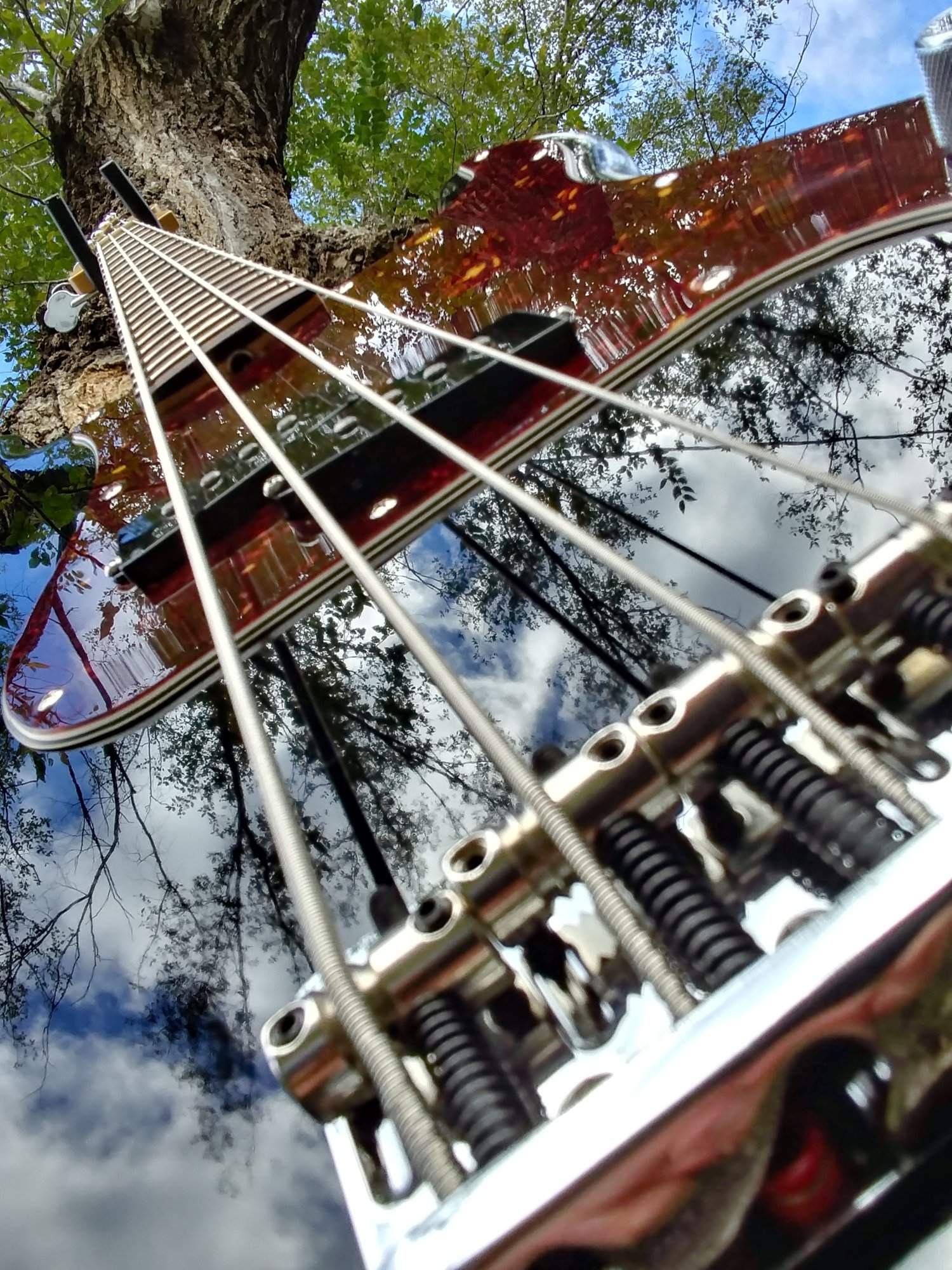 20171027_135159_HDR.jpg