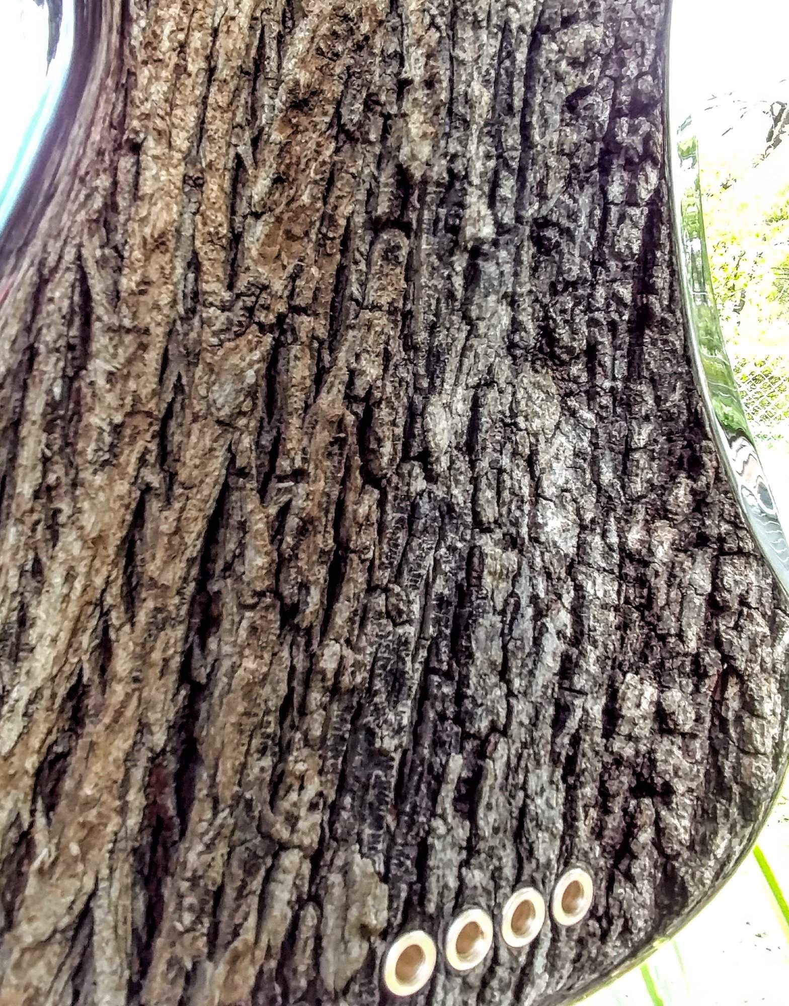 20171027_135846_HDR.jpg