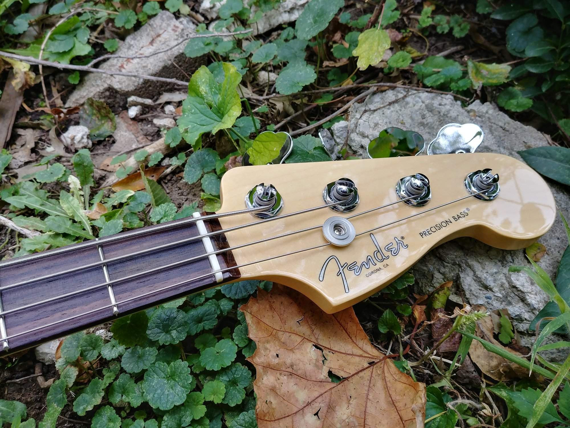 20171027_142415_HDR.jpg