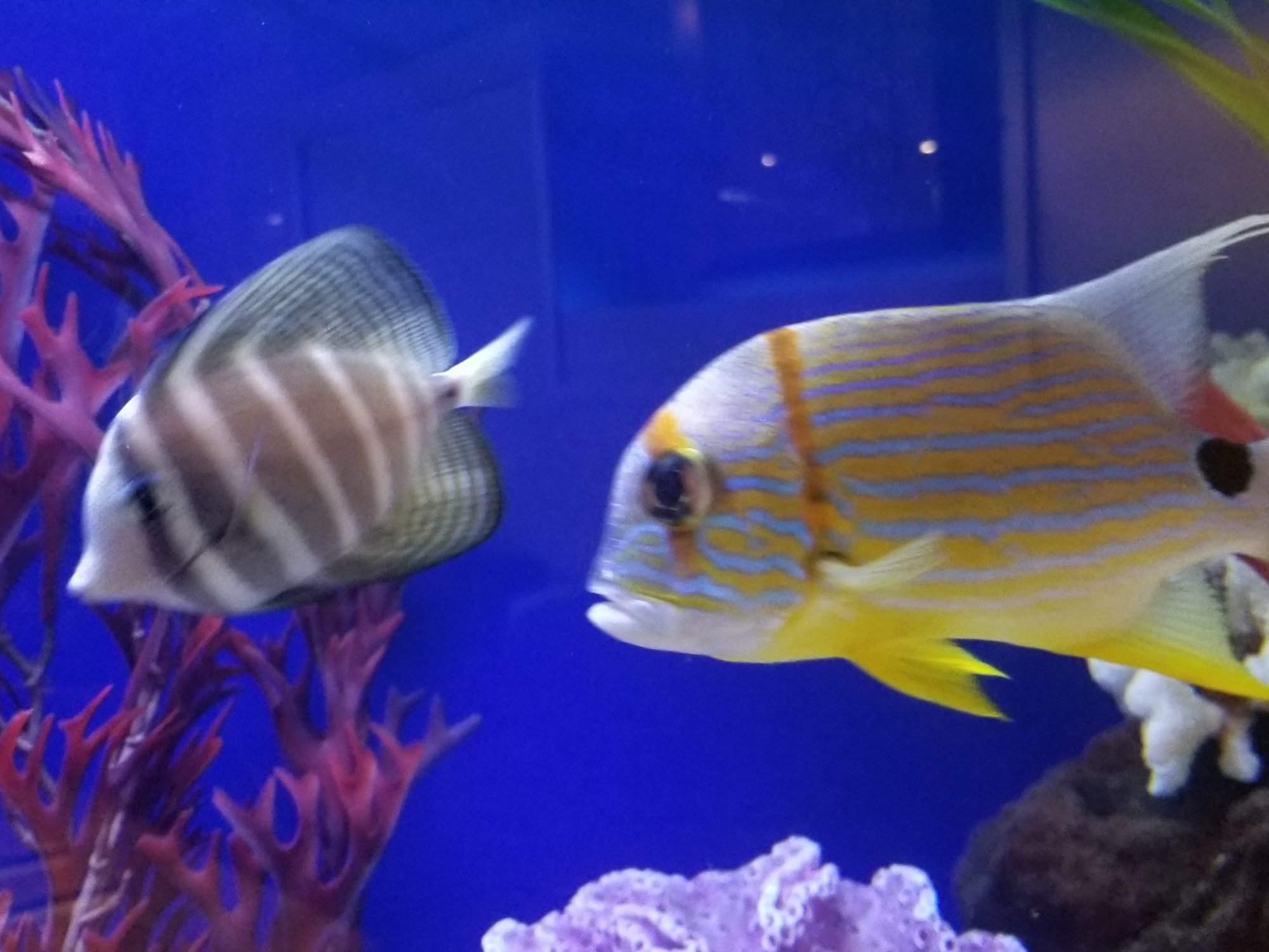 20171029_170331.jpg