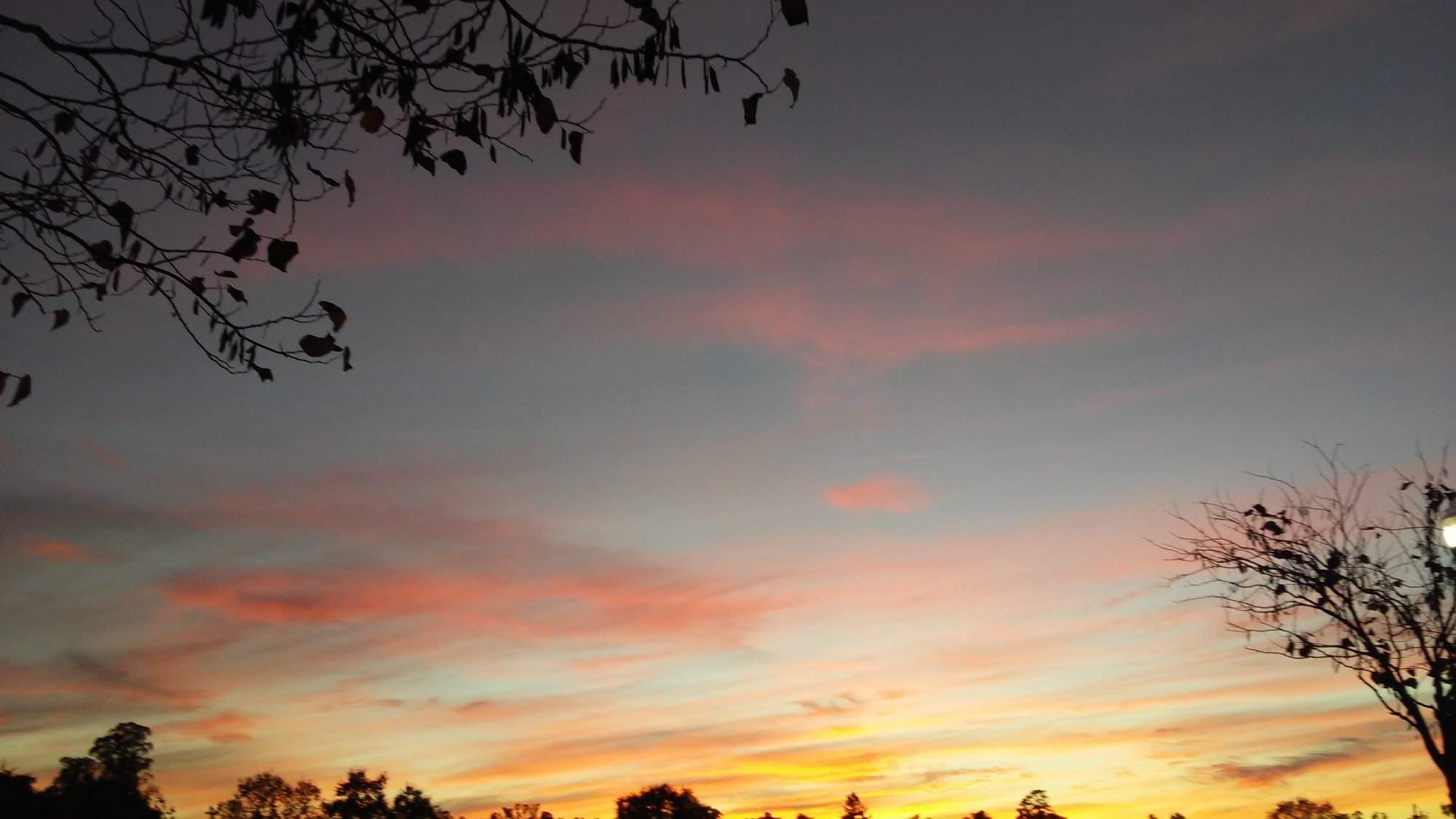 20171118_170927.jpg