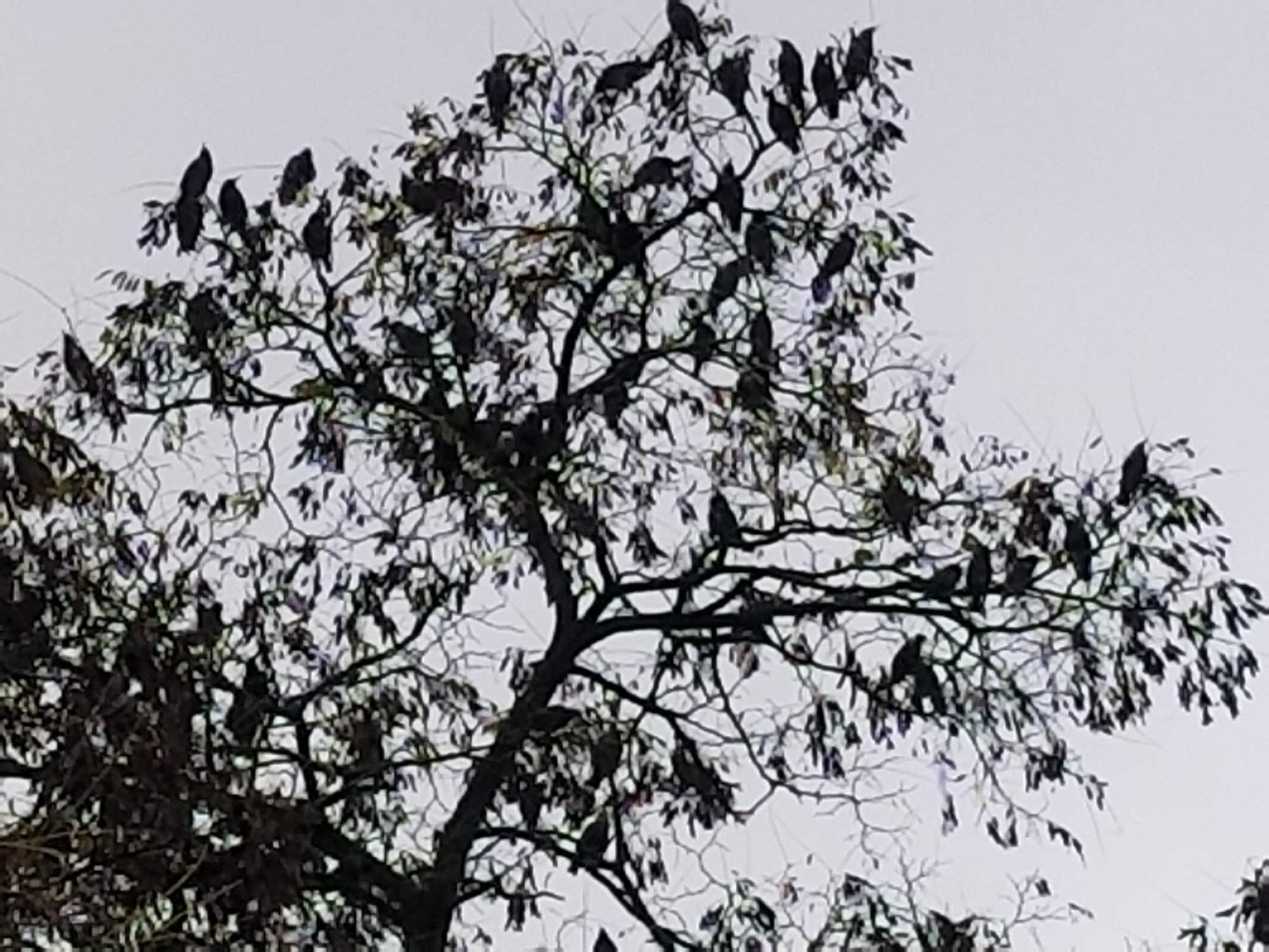 20171123_140641.jpg