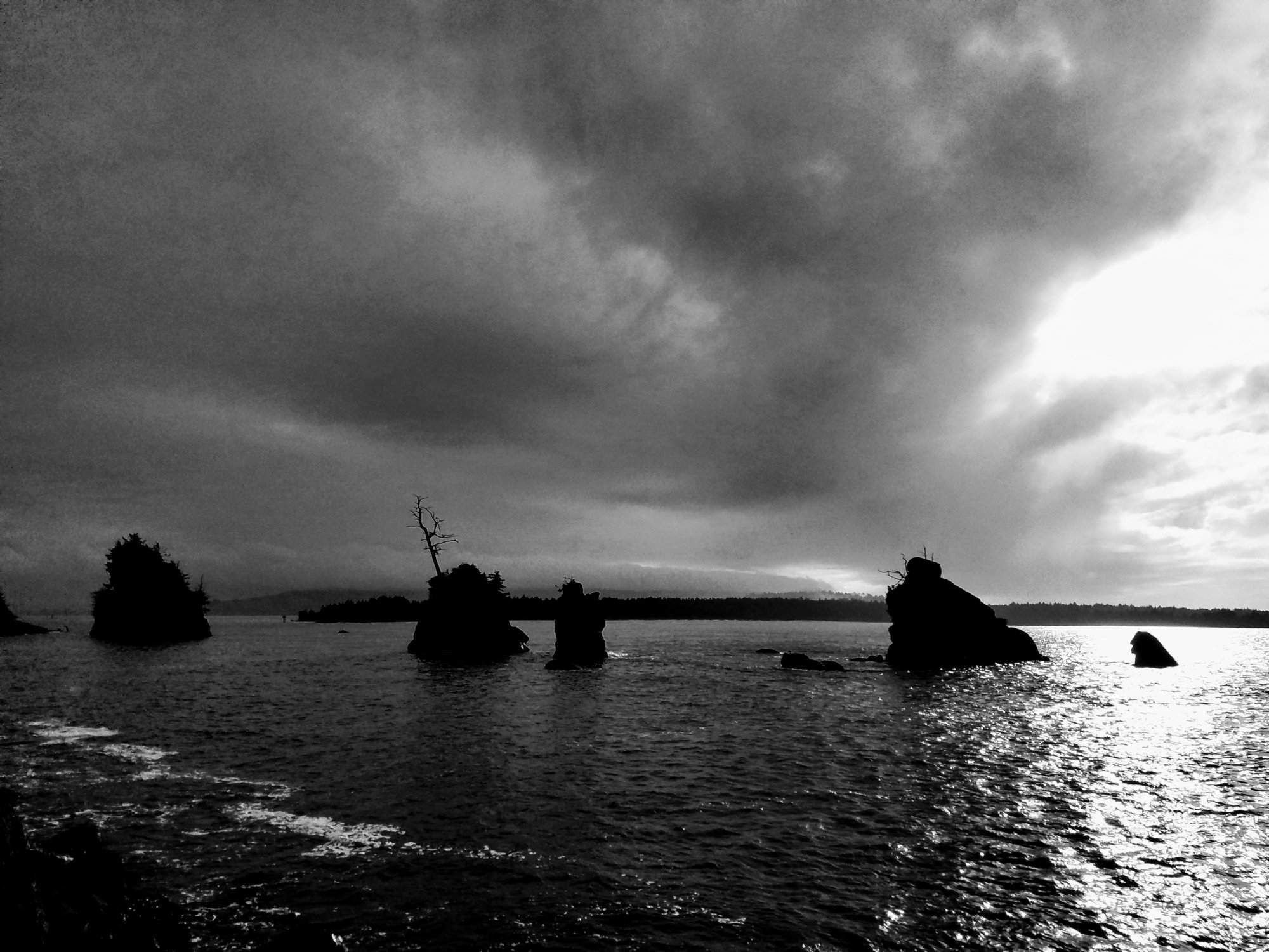 20171123_142252.jpg