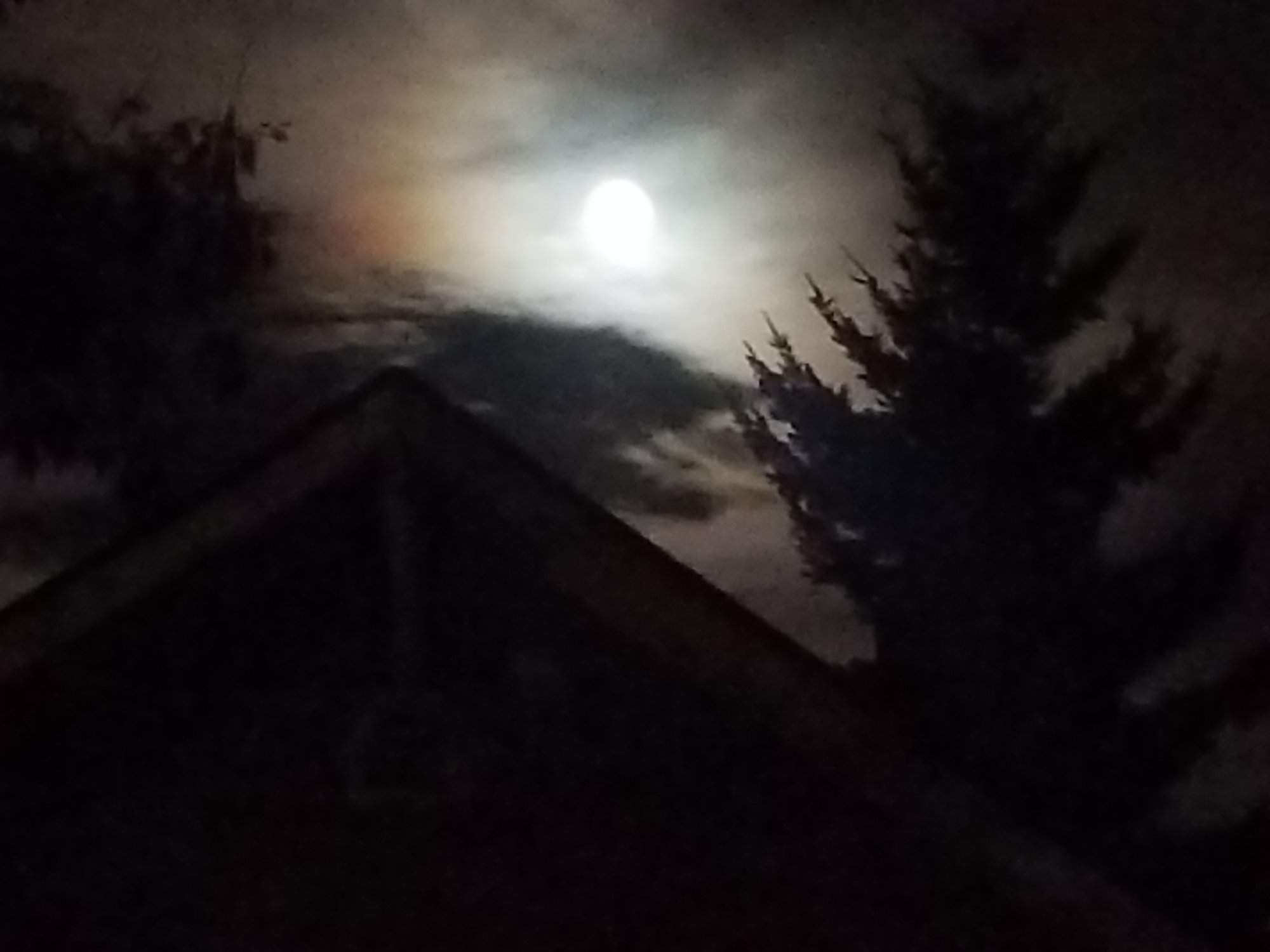 20171203_185306.jpg