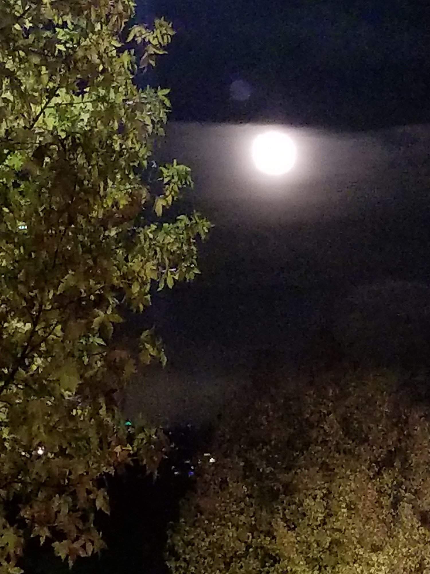 20171204_184926.jpg