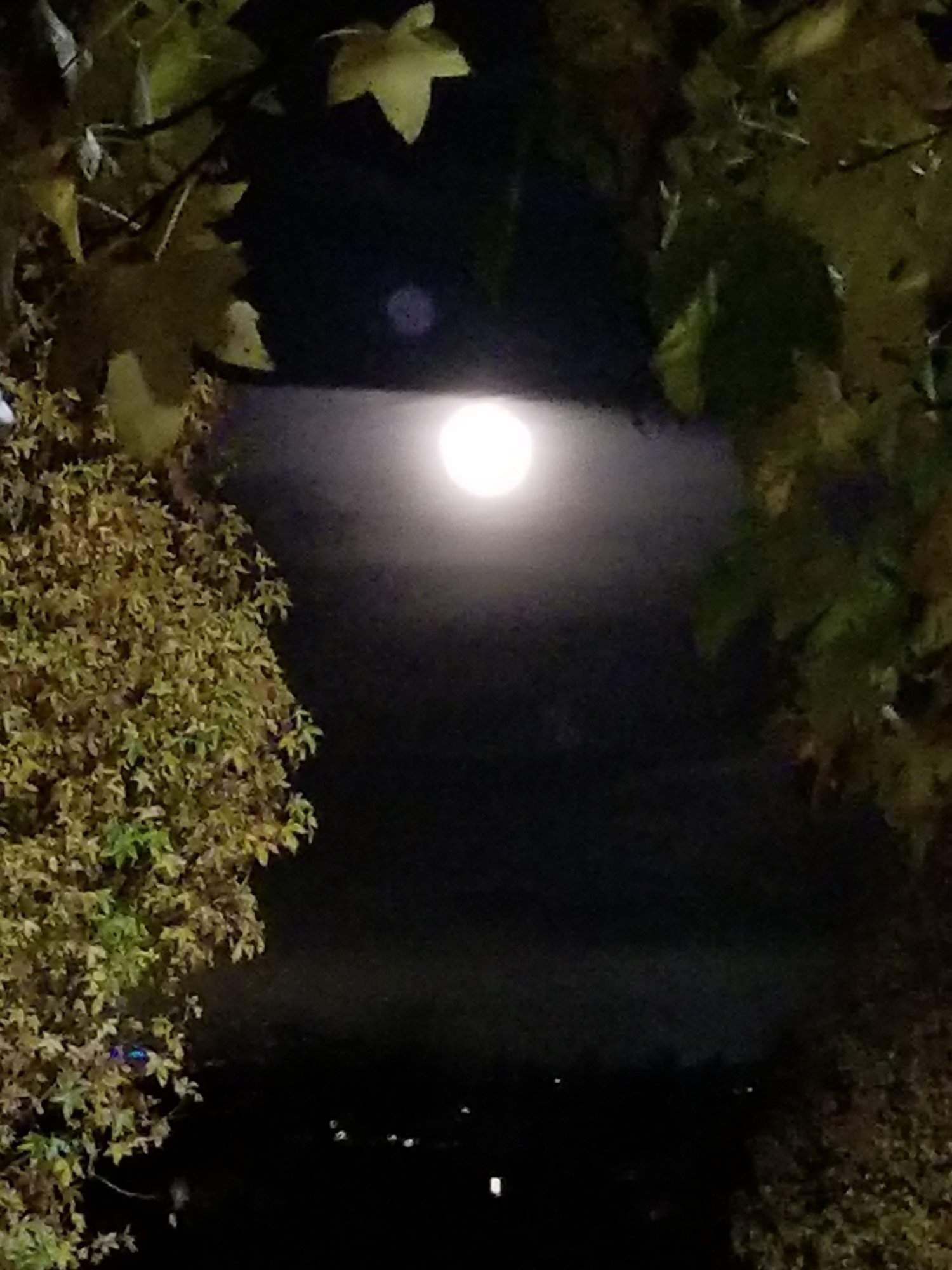 20171204_185014.jpg