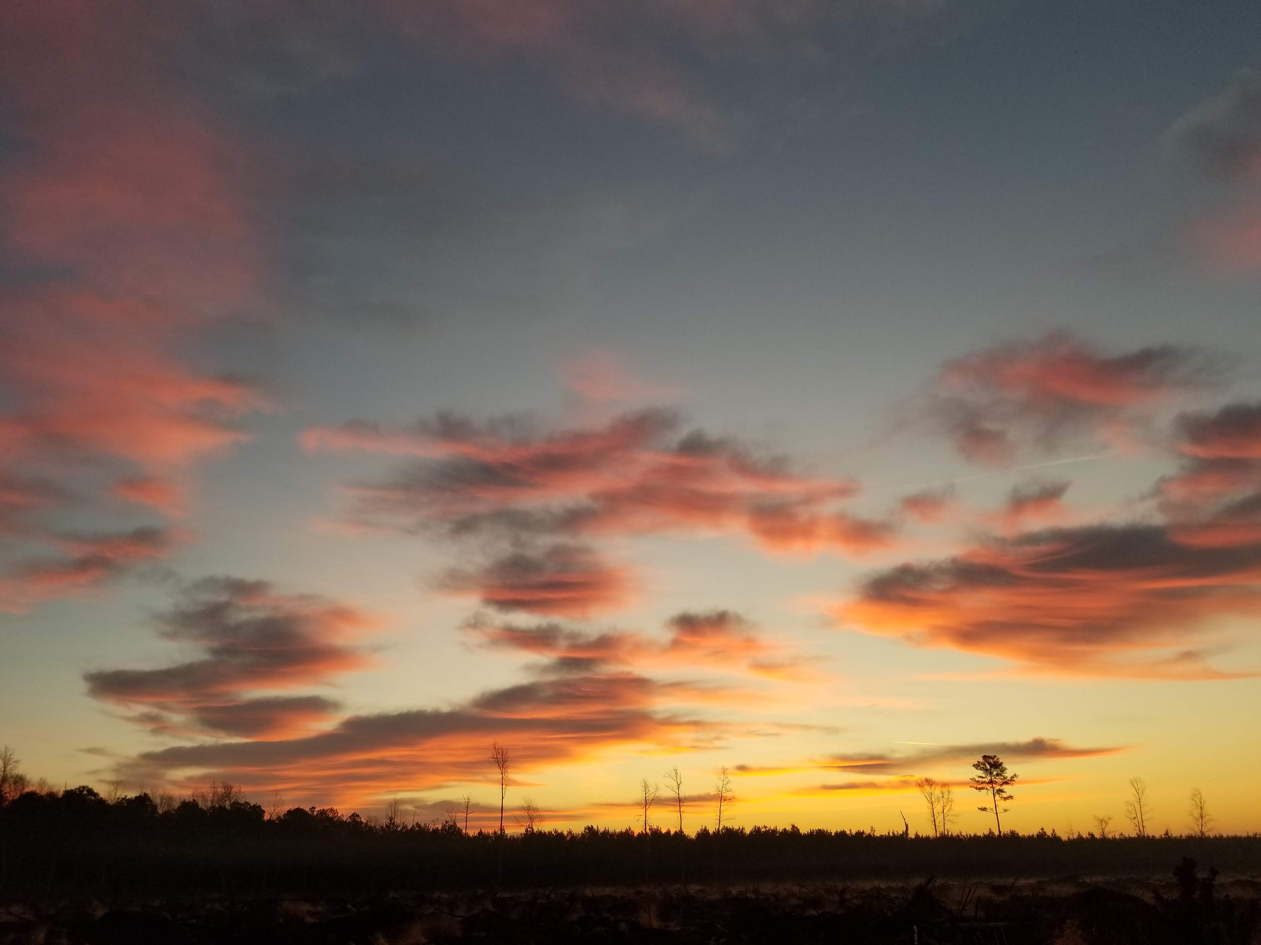 20171219_070139.jpg