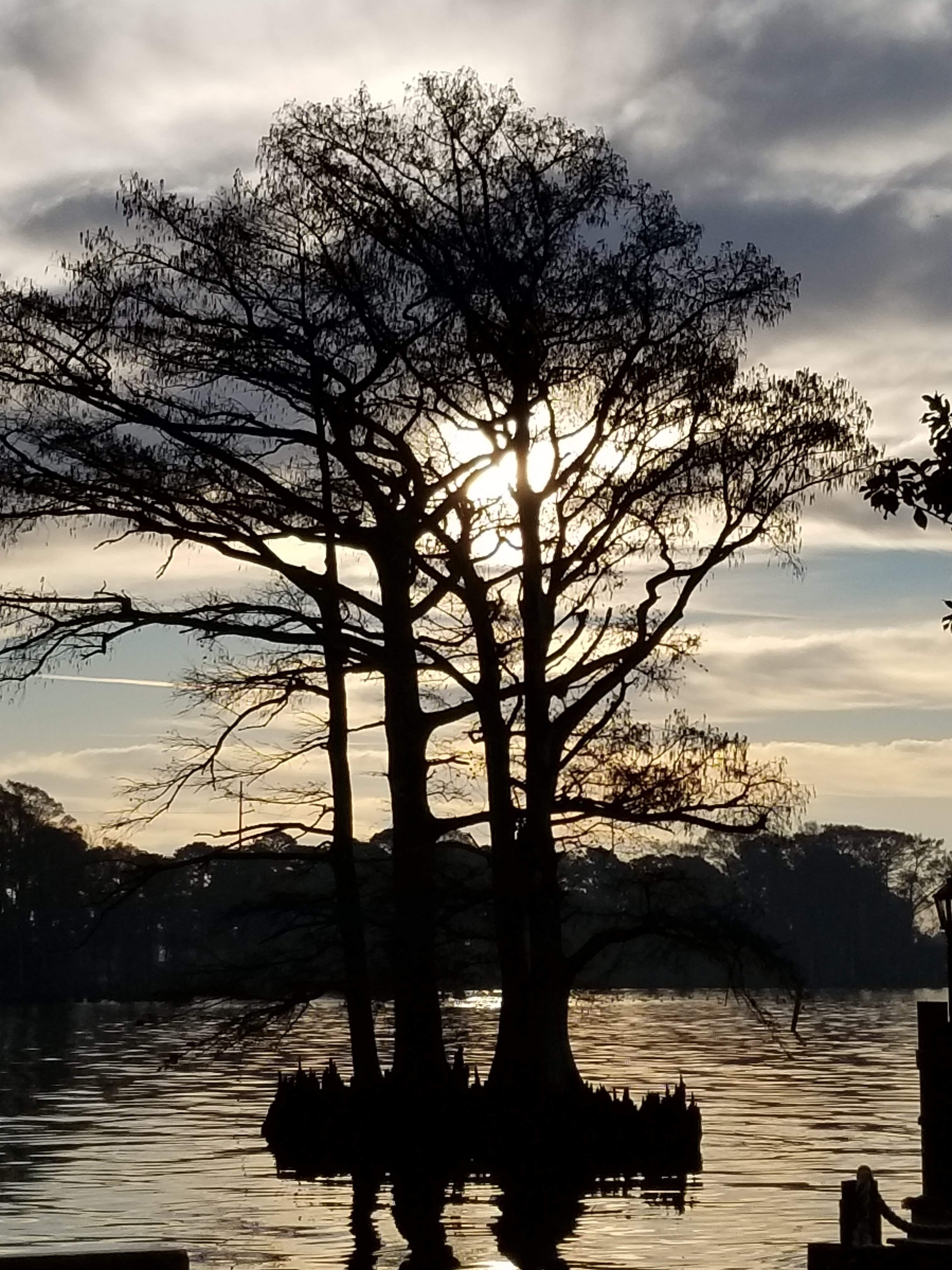 20171219_080902.jpg