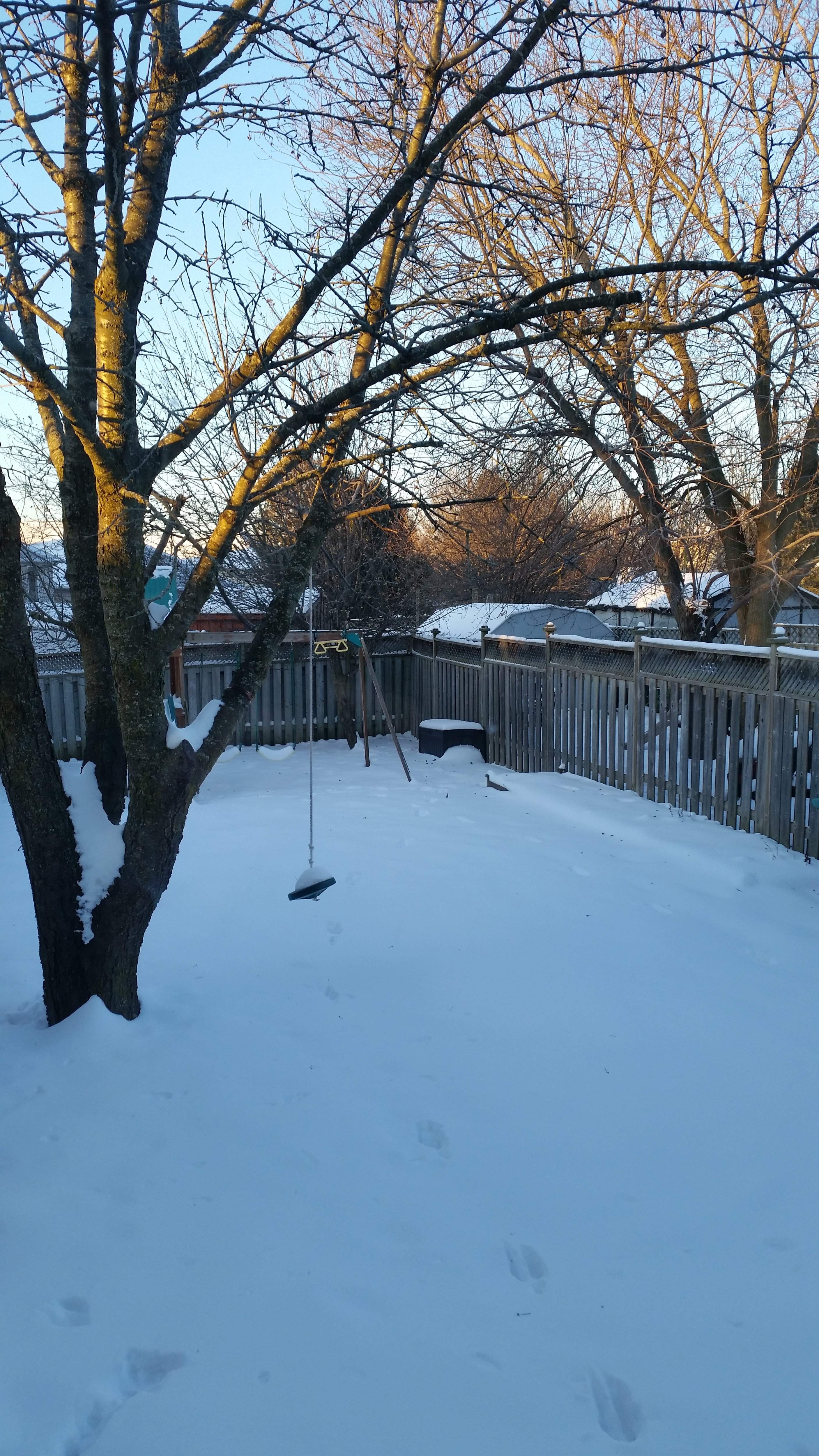 20171227_082037.jpg