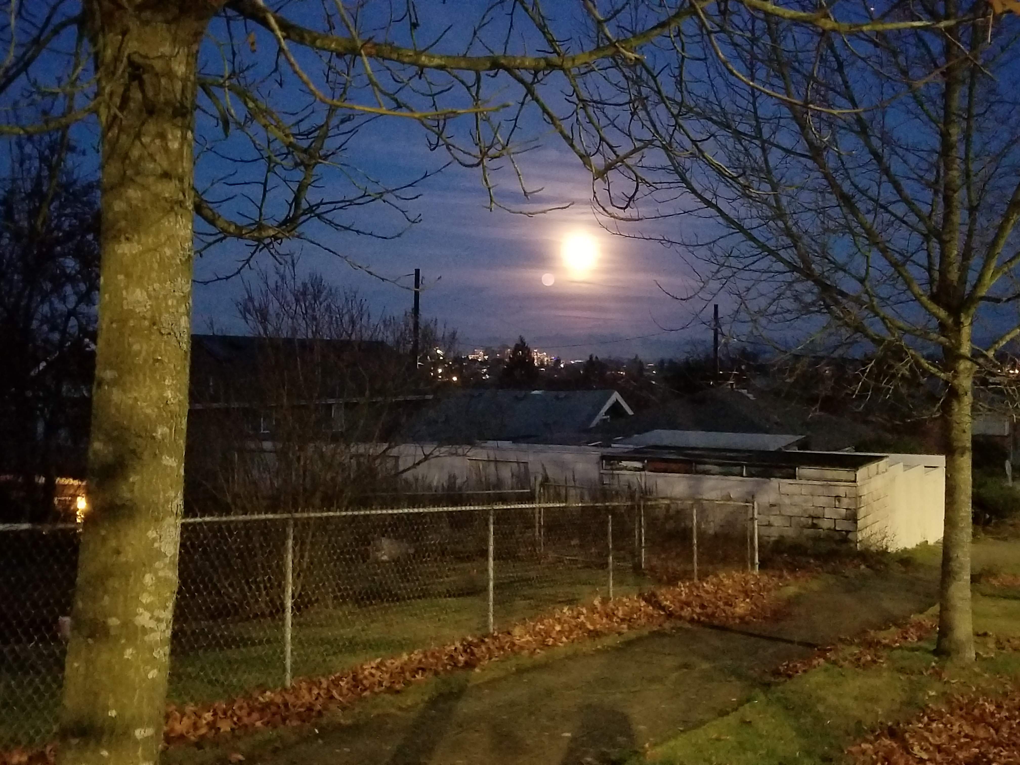 20180101_171332.jpg