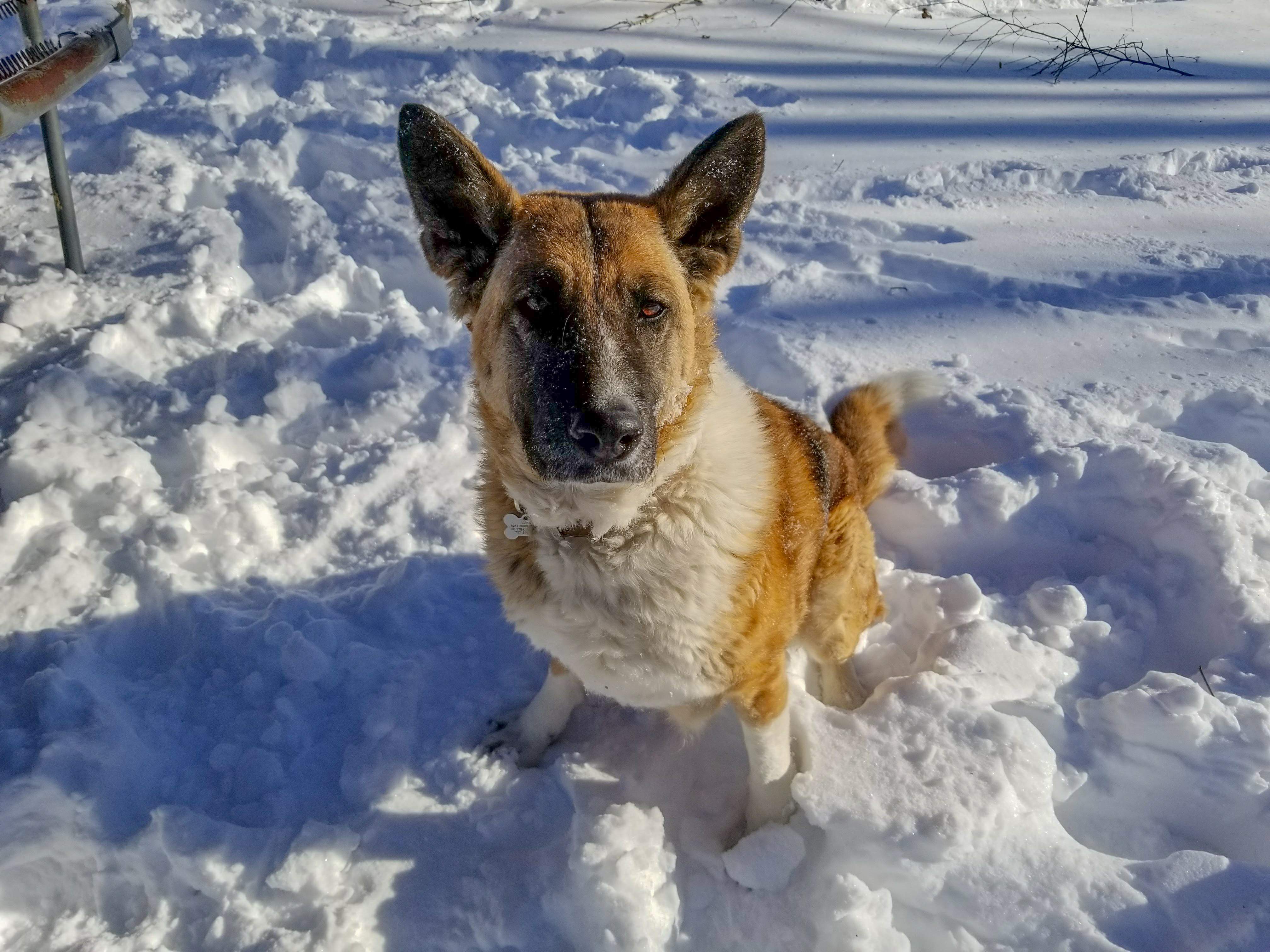 20180105_092209.jpg