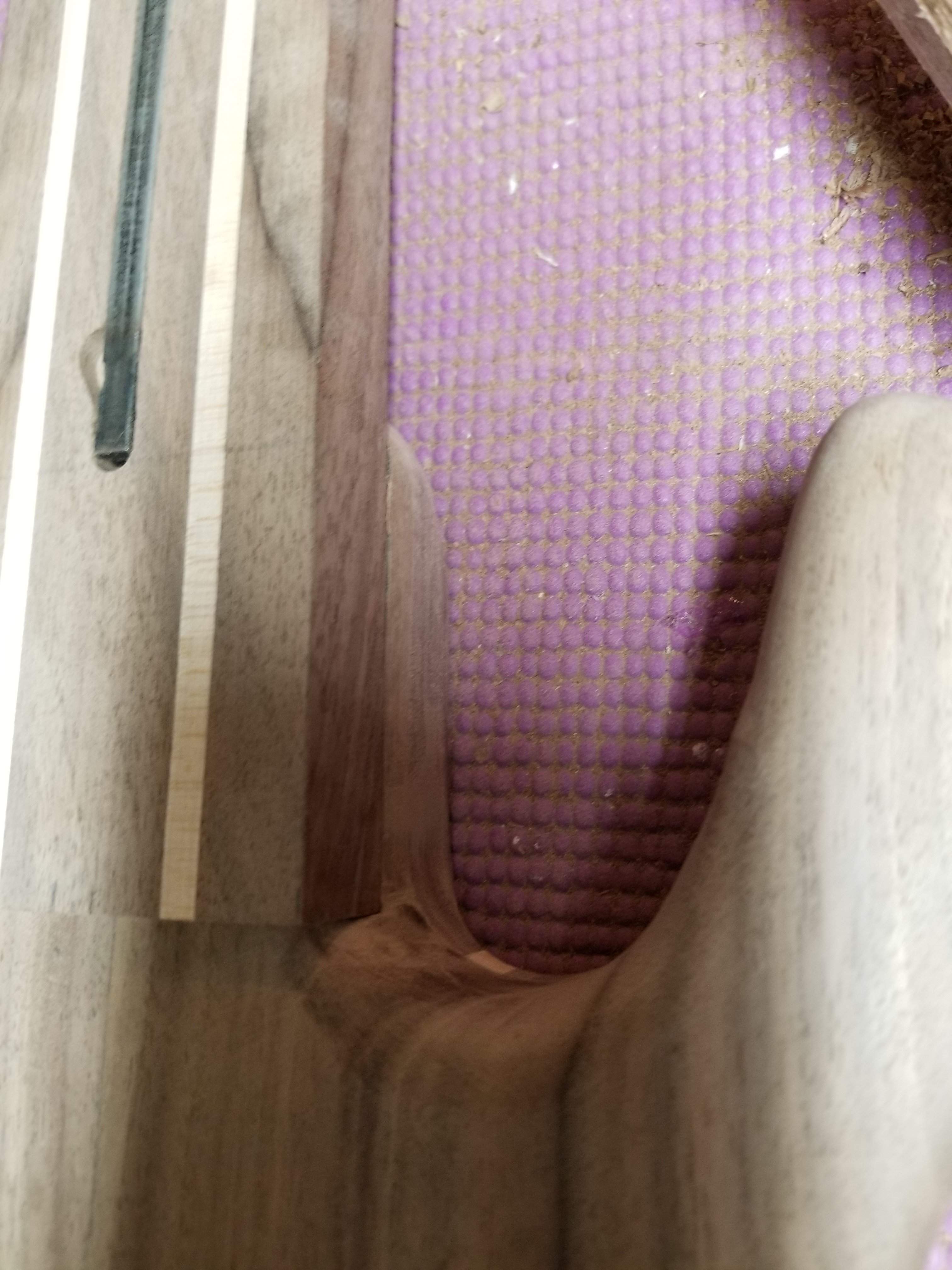 20180107_101236.jpg