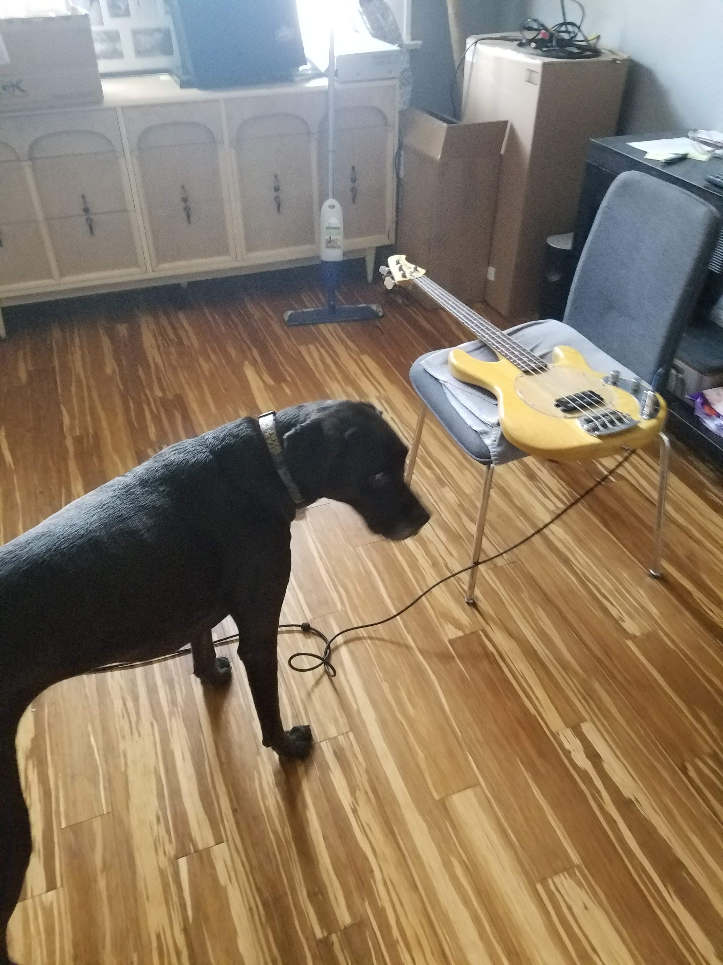 20180107_122147.jpg