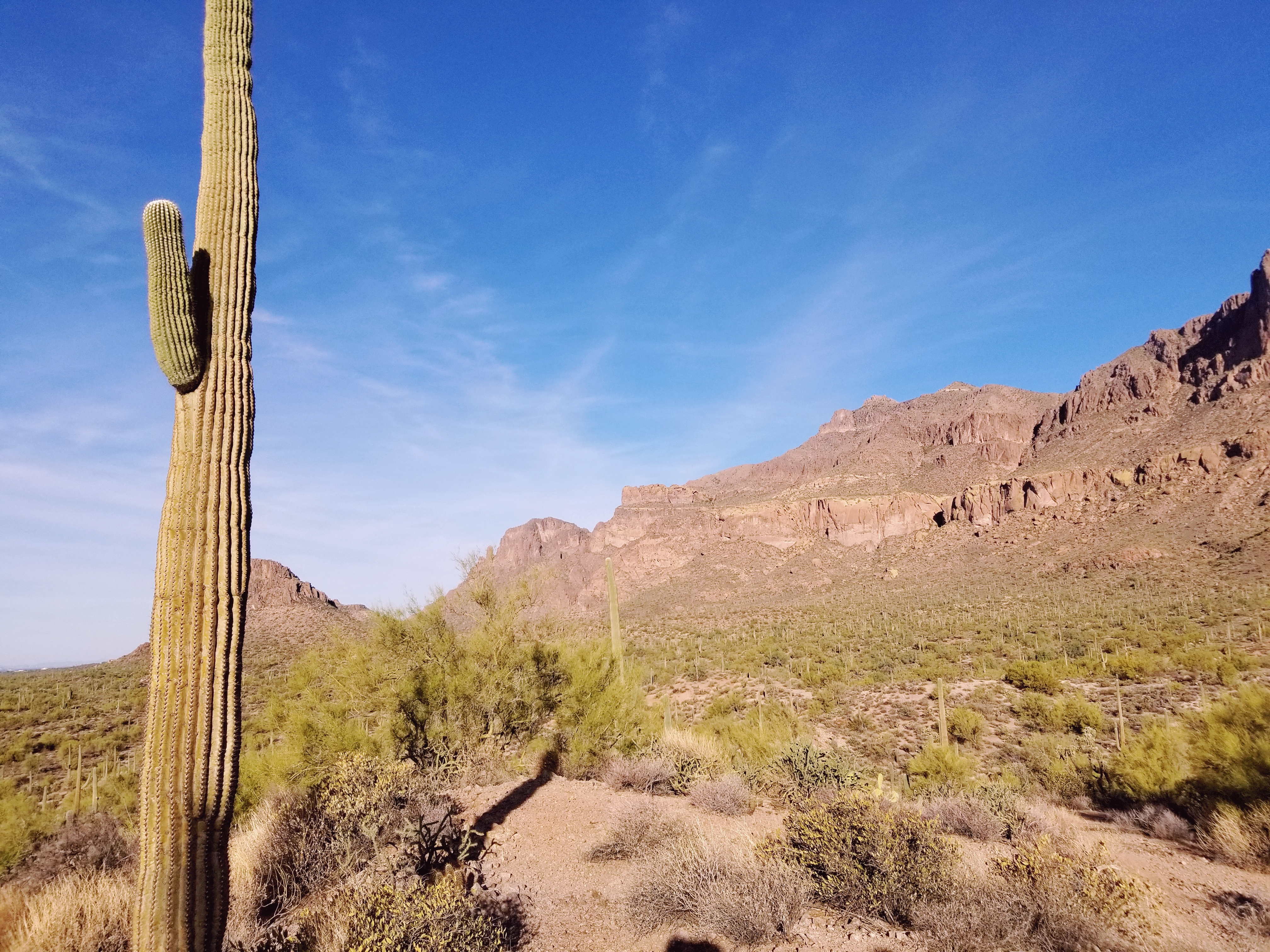 20180114_090118.jpg