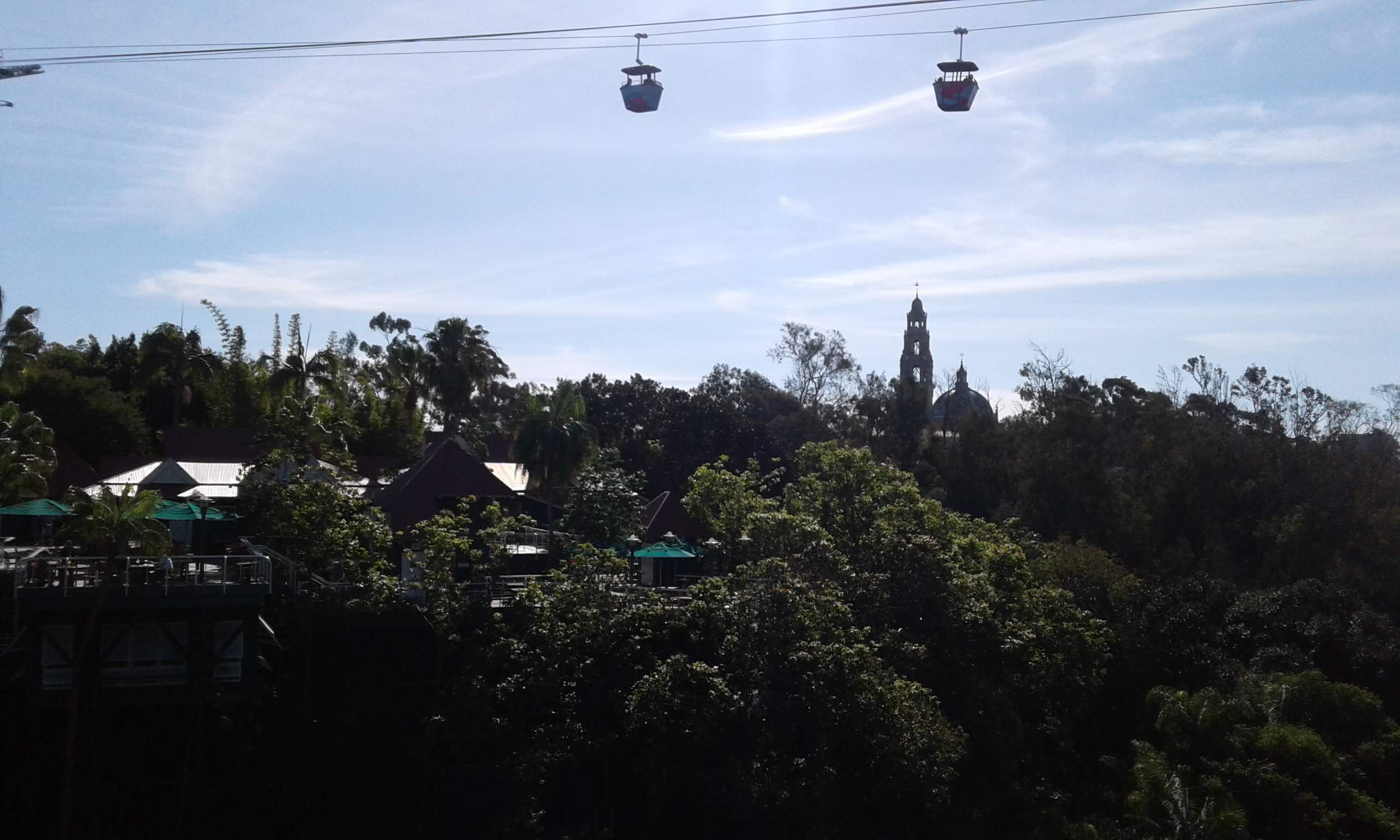 20180121_113237.jpg