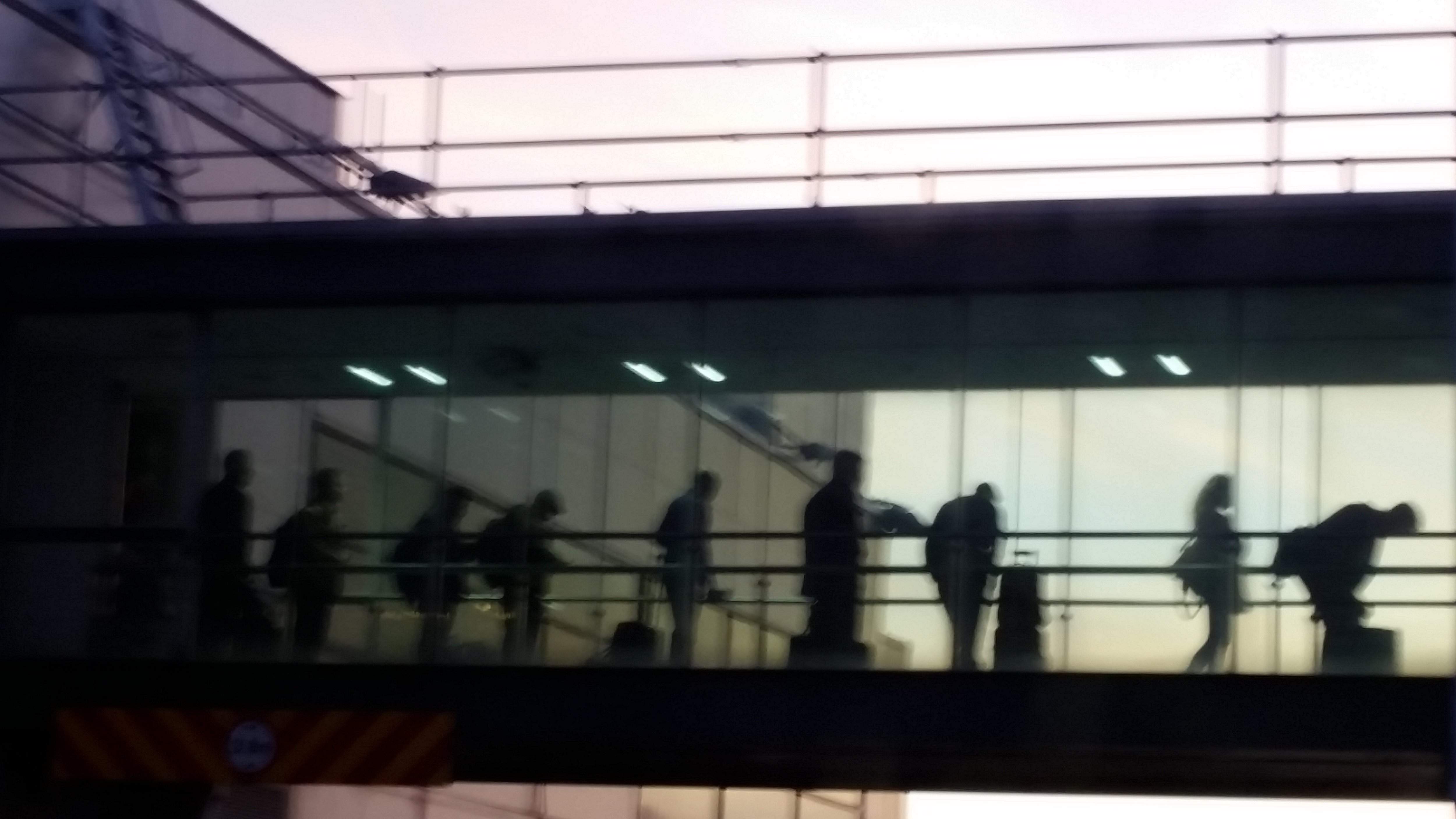 20180127_170959.jpg