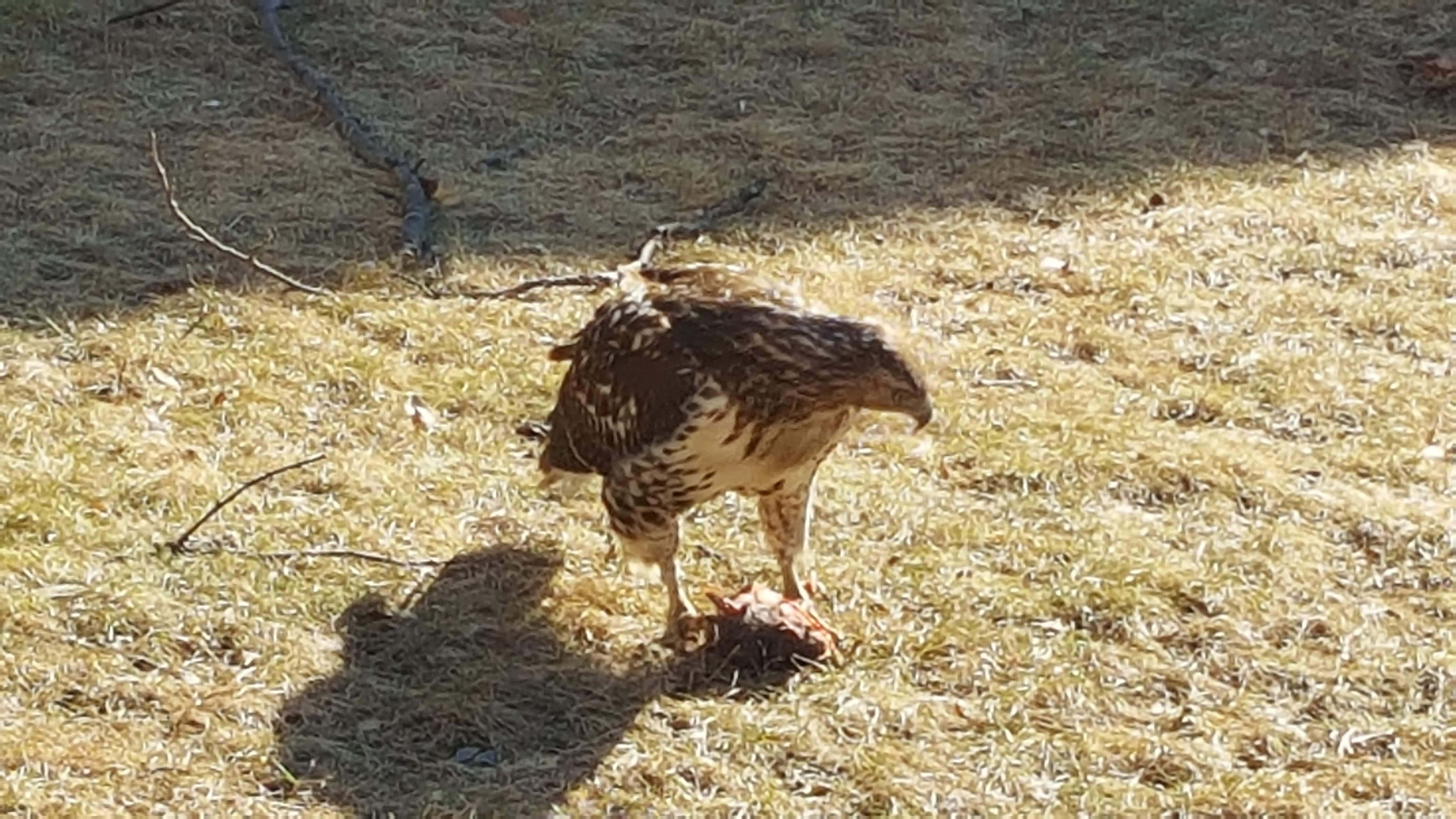 20180203_142608.jpg
