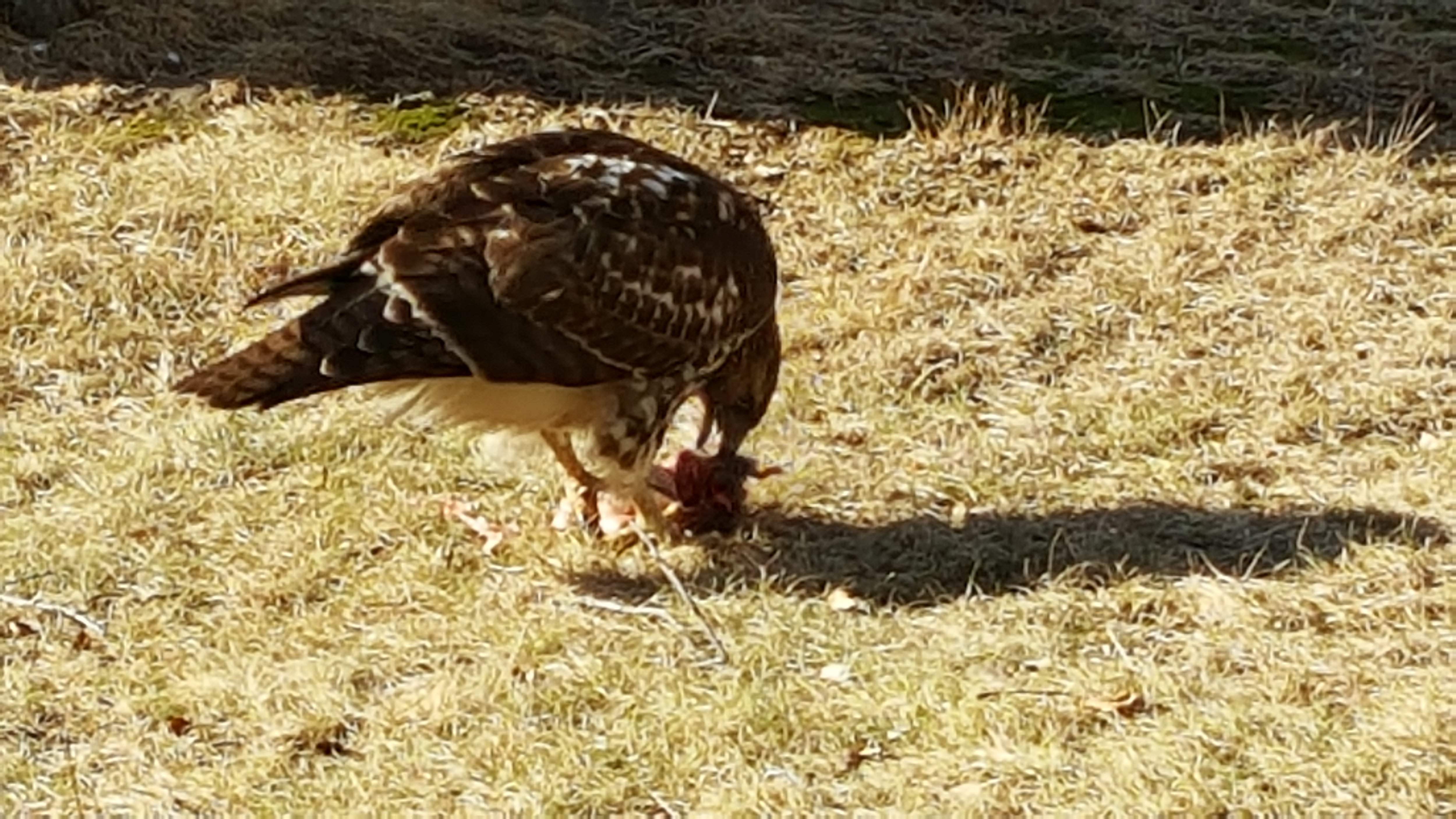 20180203_142637.jpg