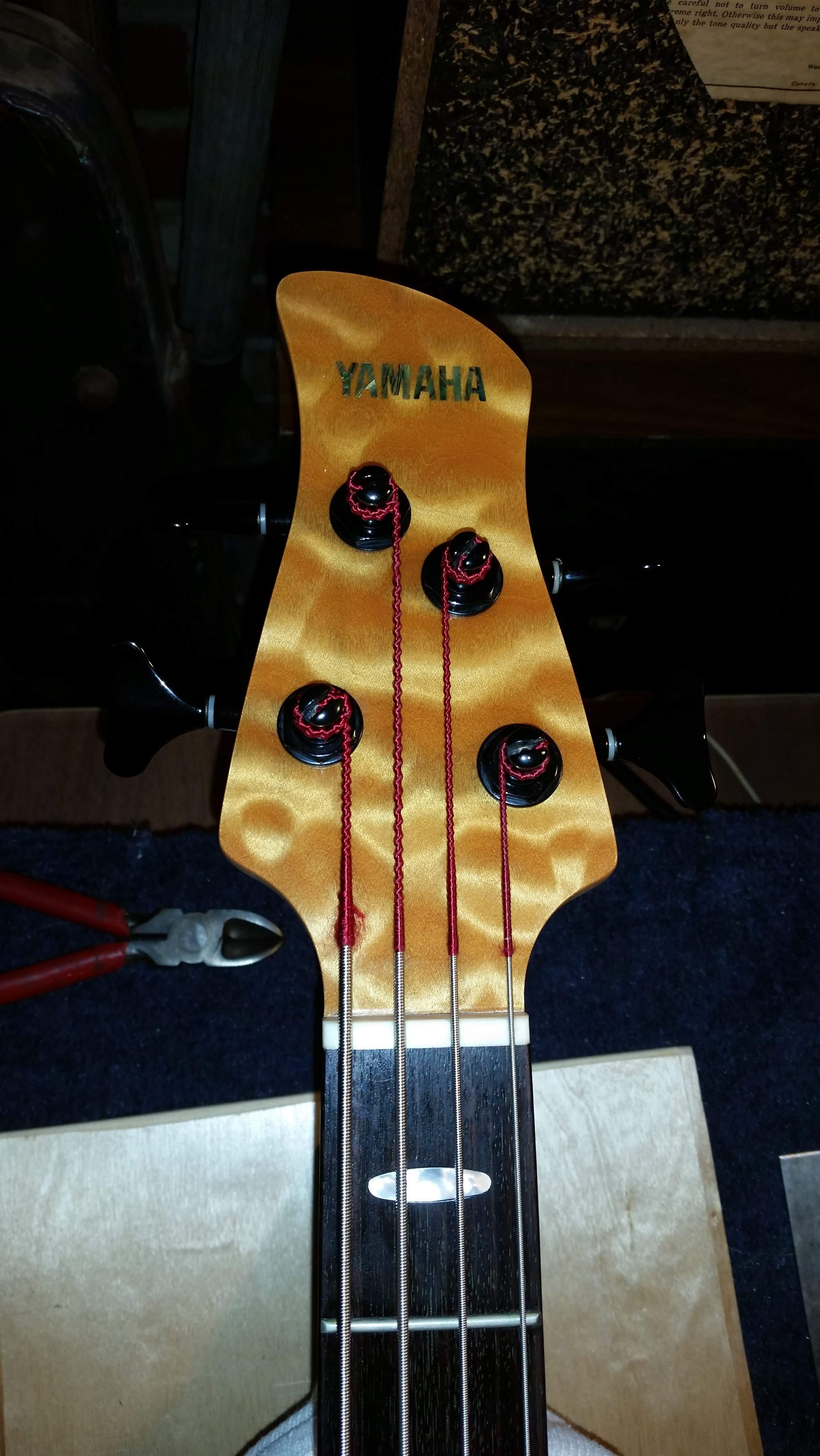 20180203_183105.jpg