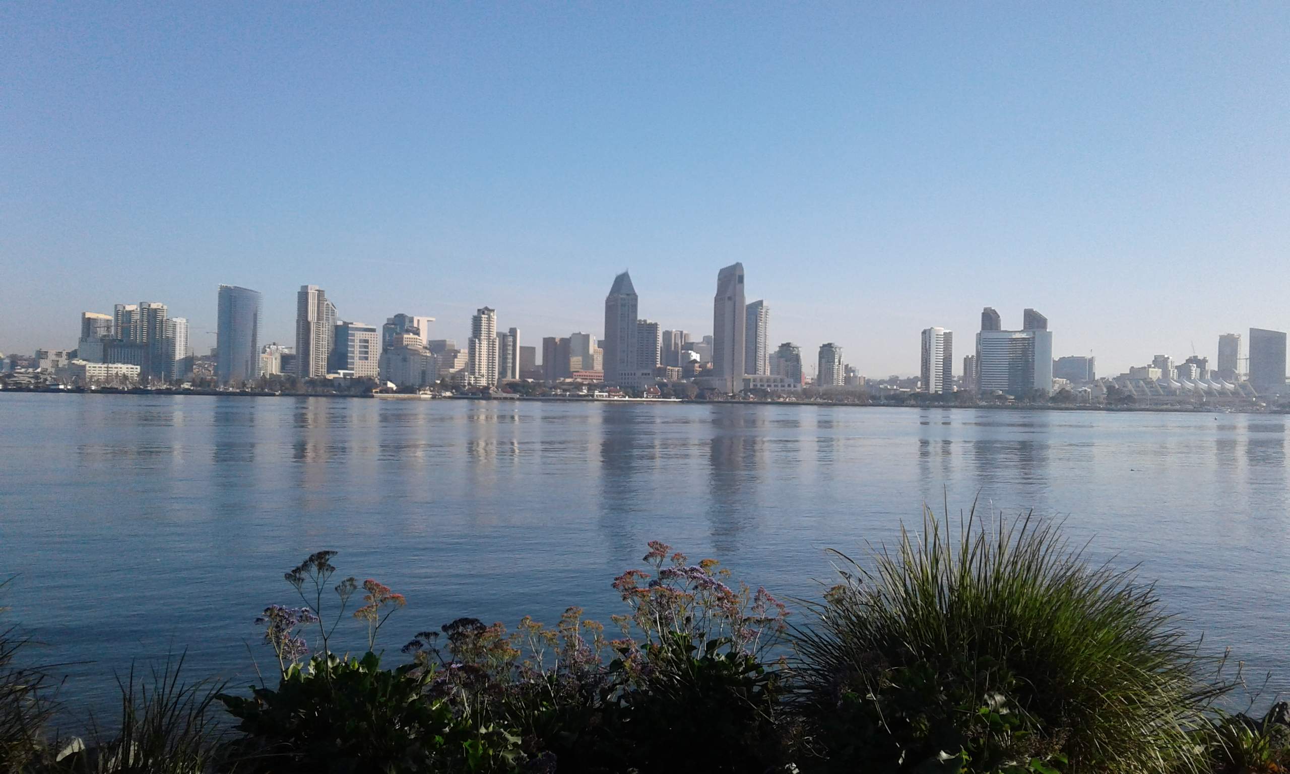 20180204_082237.jpg