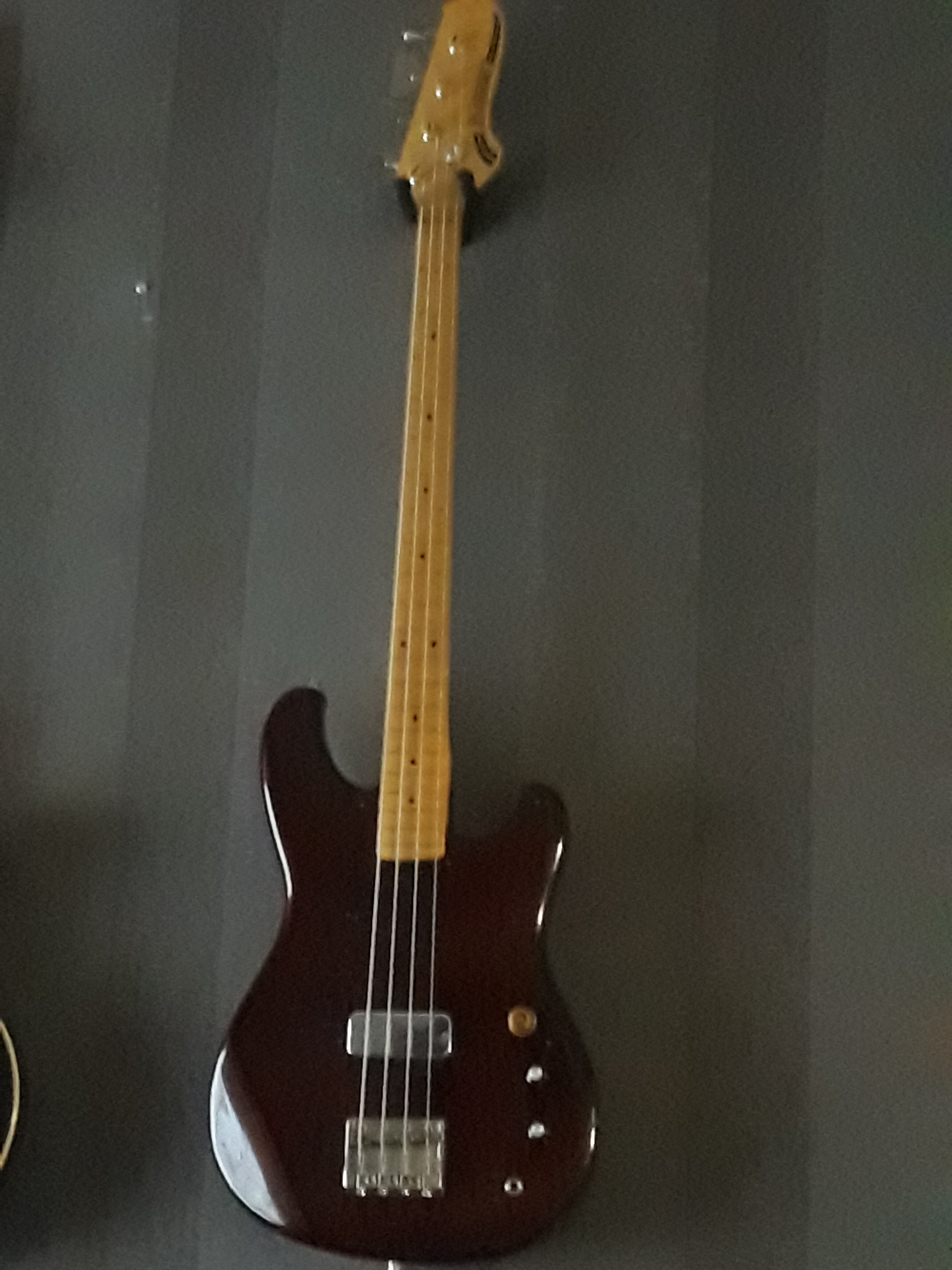 20180204_150315.jpg