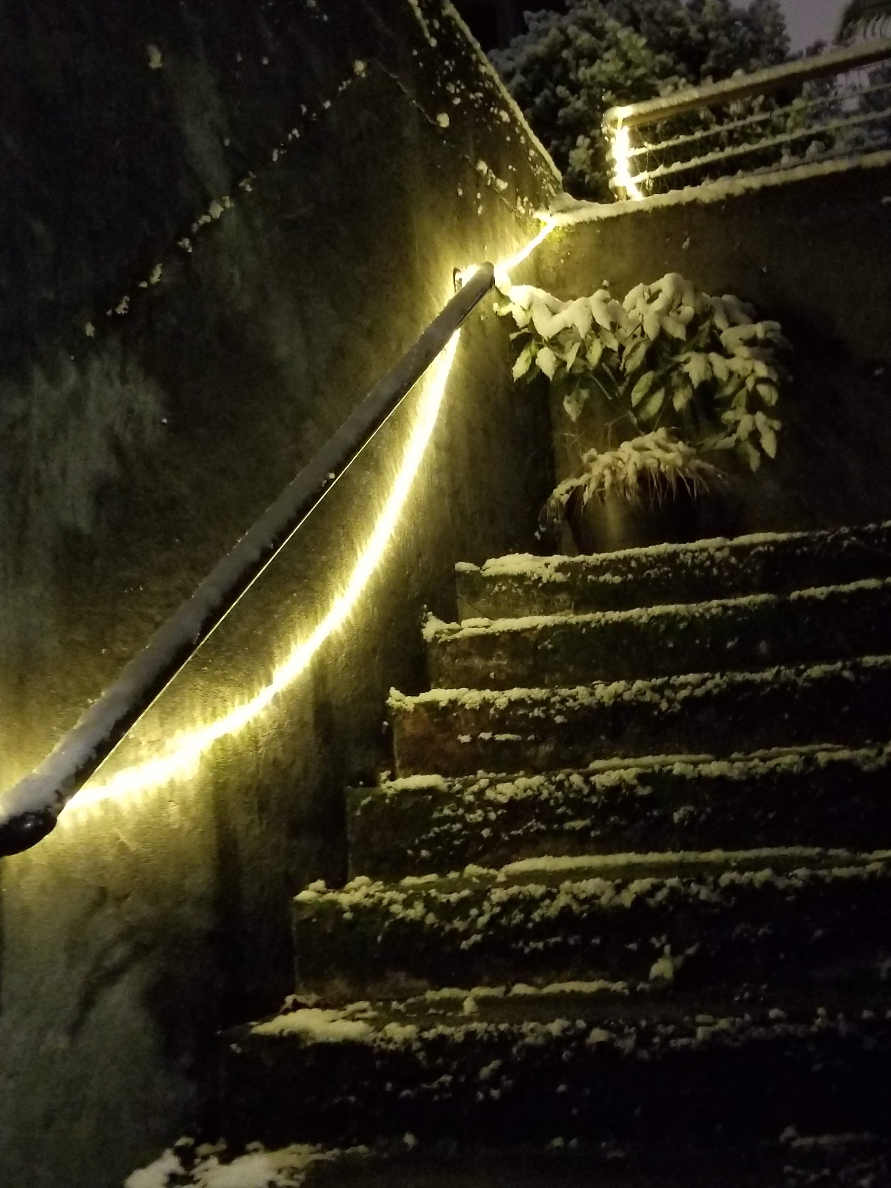 20180221_231958.jpg