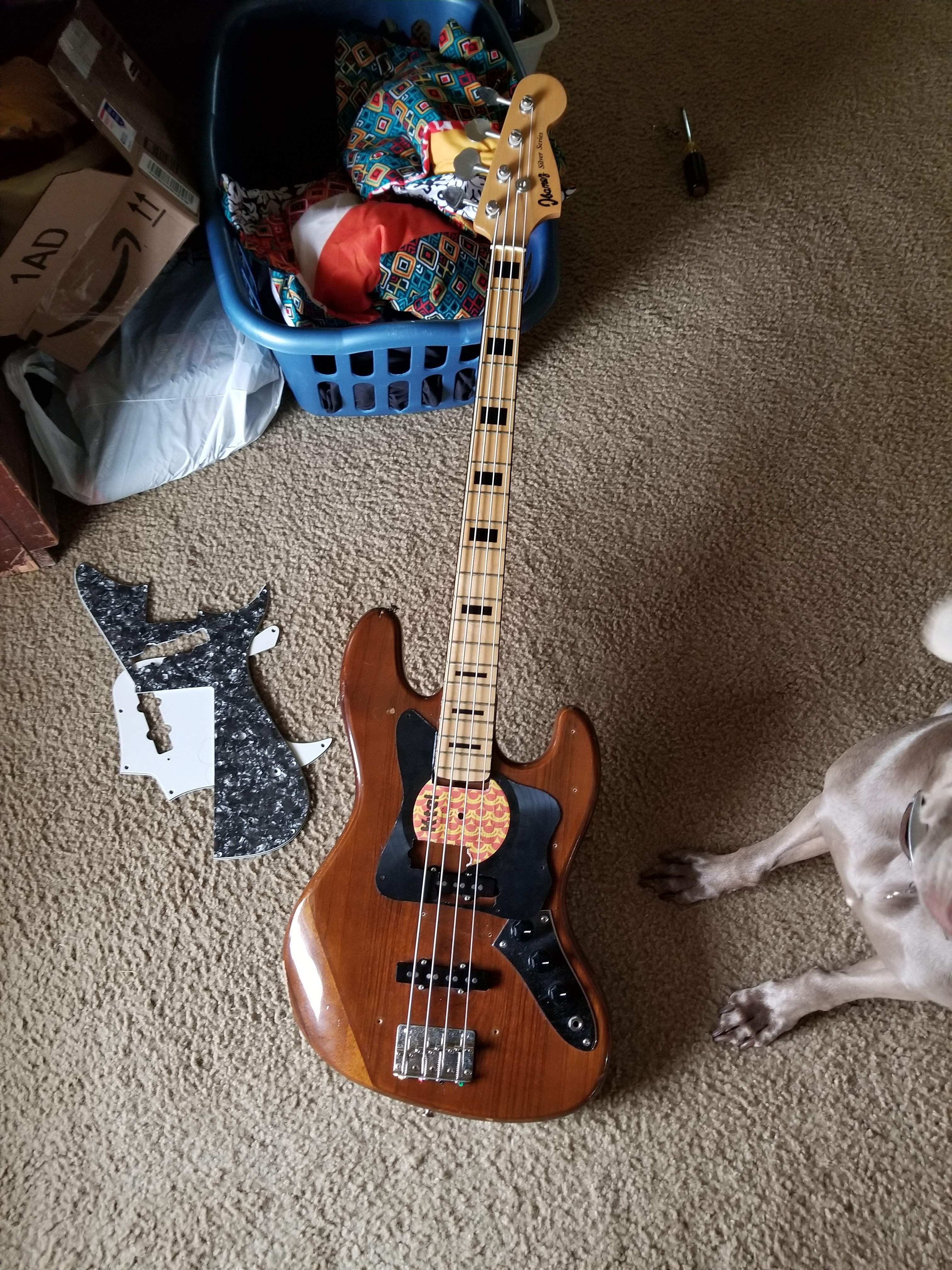 20180222_152928.jpg