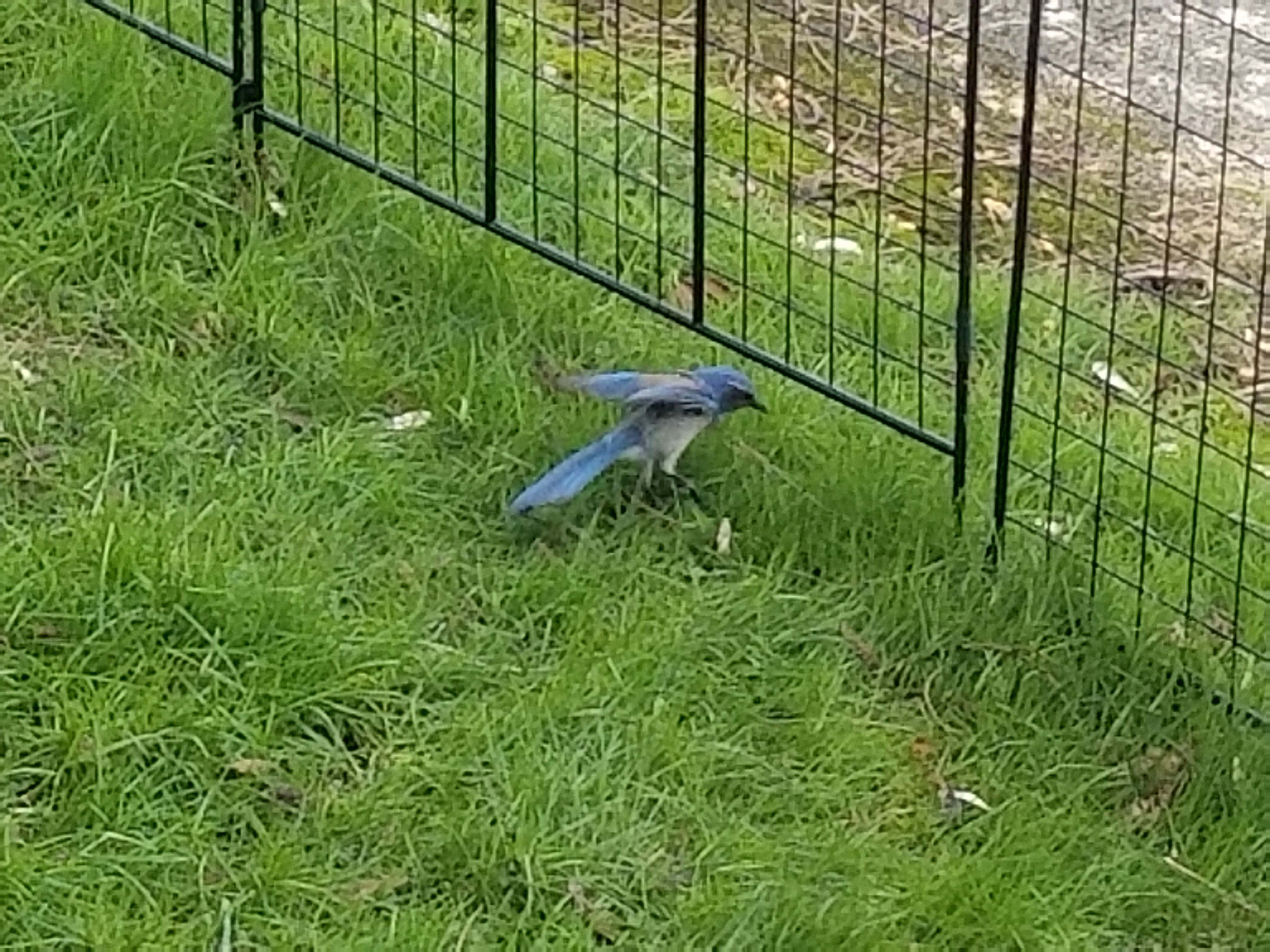 20180226_094355.jpg