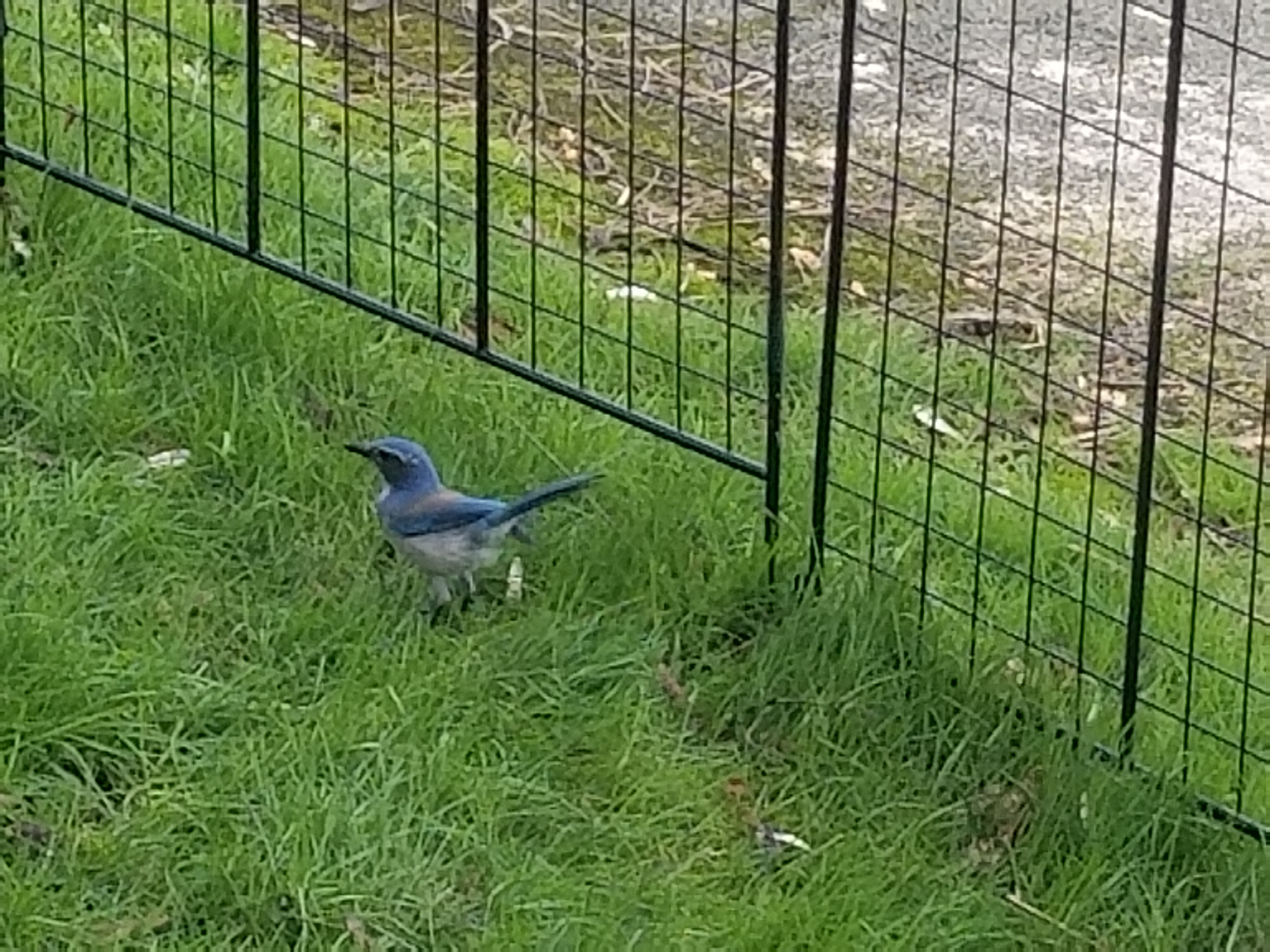 20180226_094427.jpg