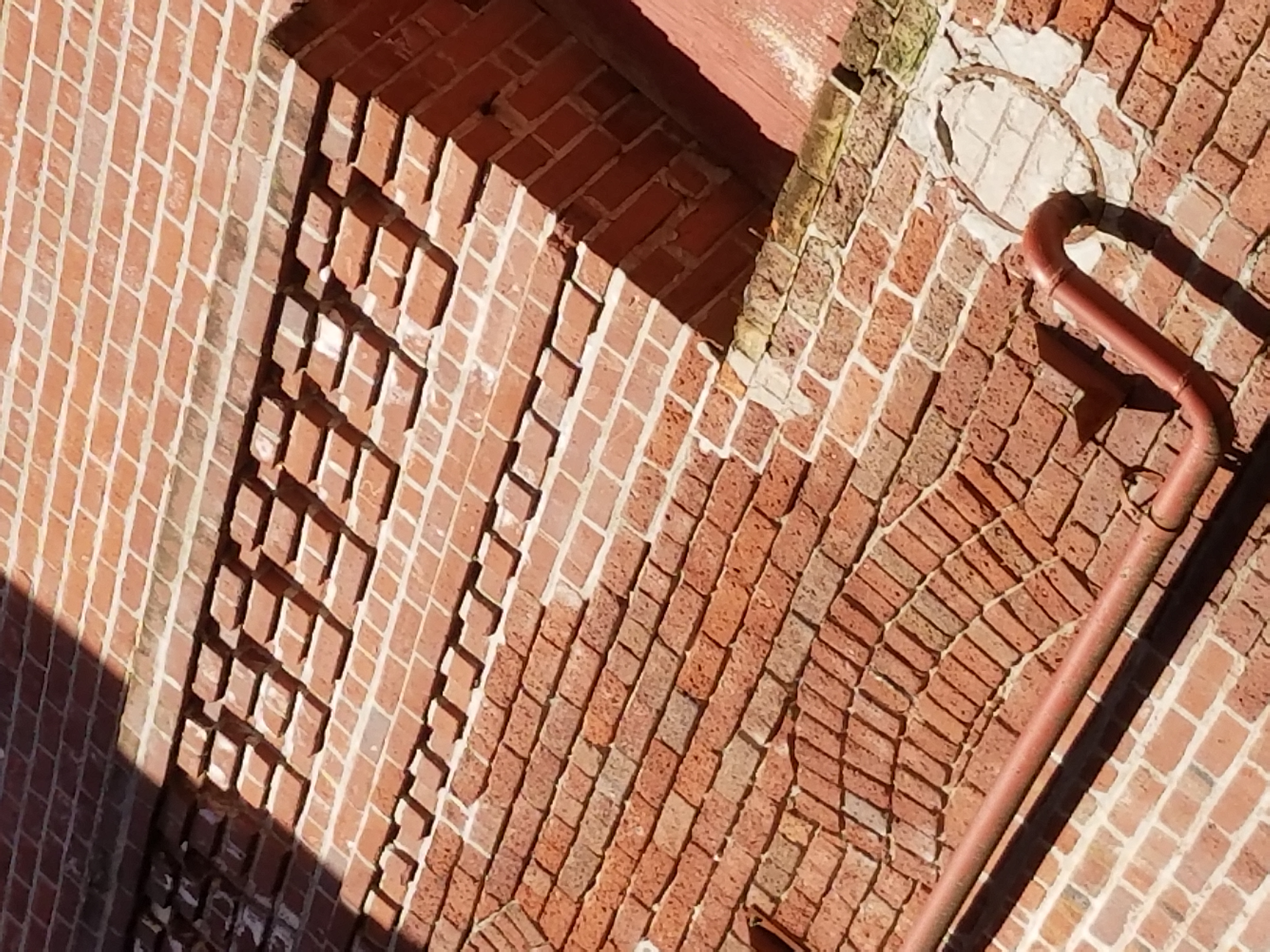 20180226_143411.jpg